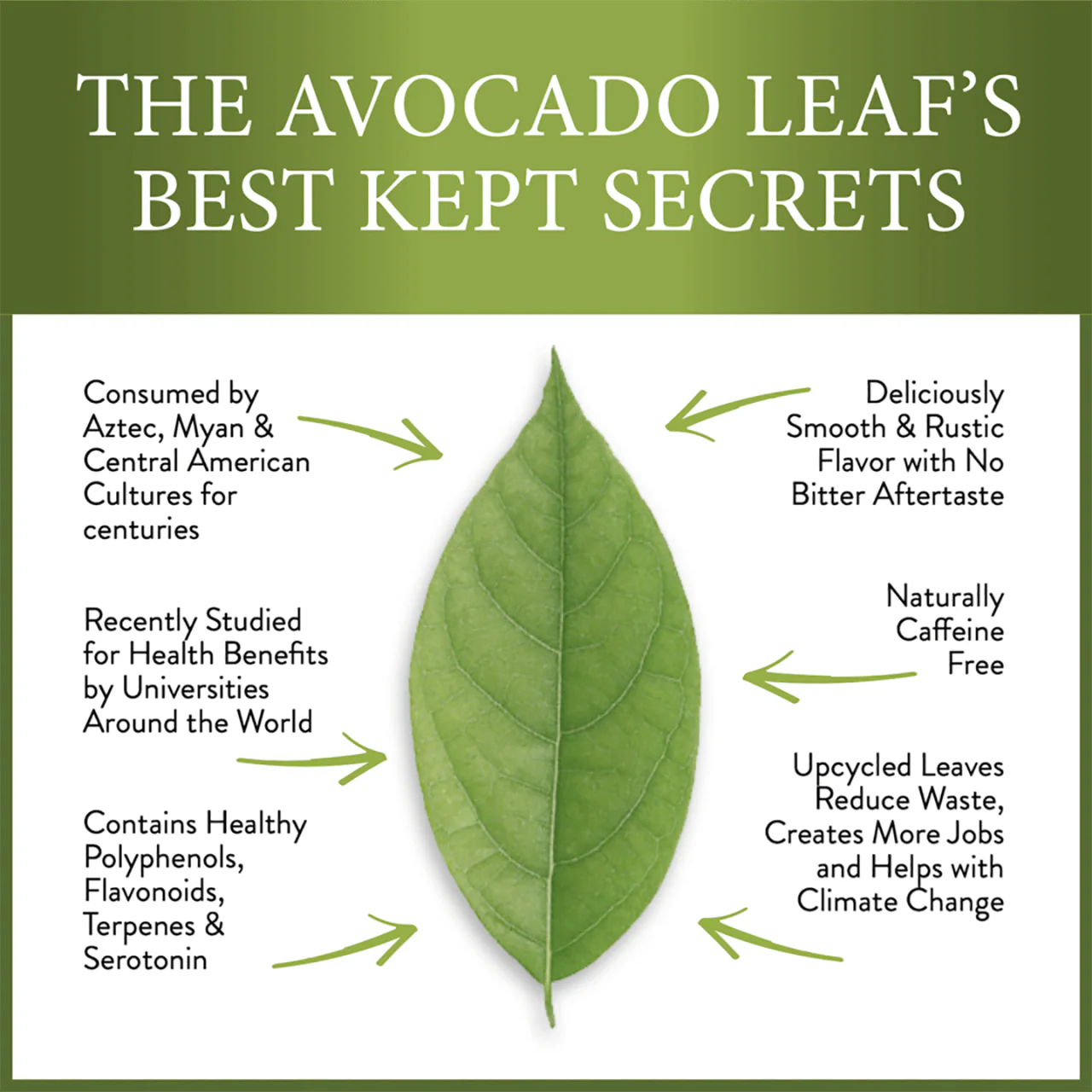 2 Pack Avocado Leaf Tea Black Tea Blend by Avocado Tea Co. - Image 3