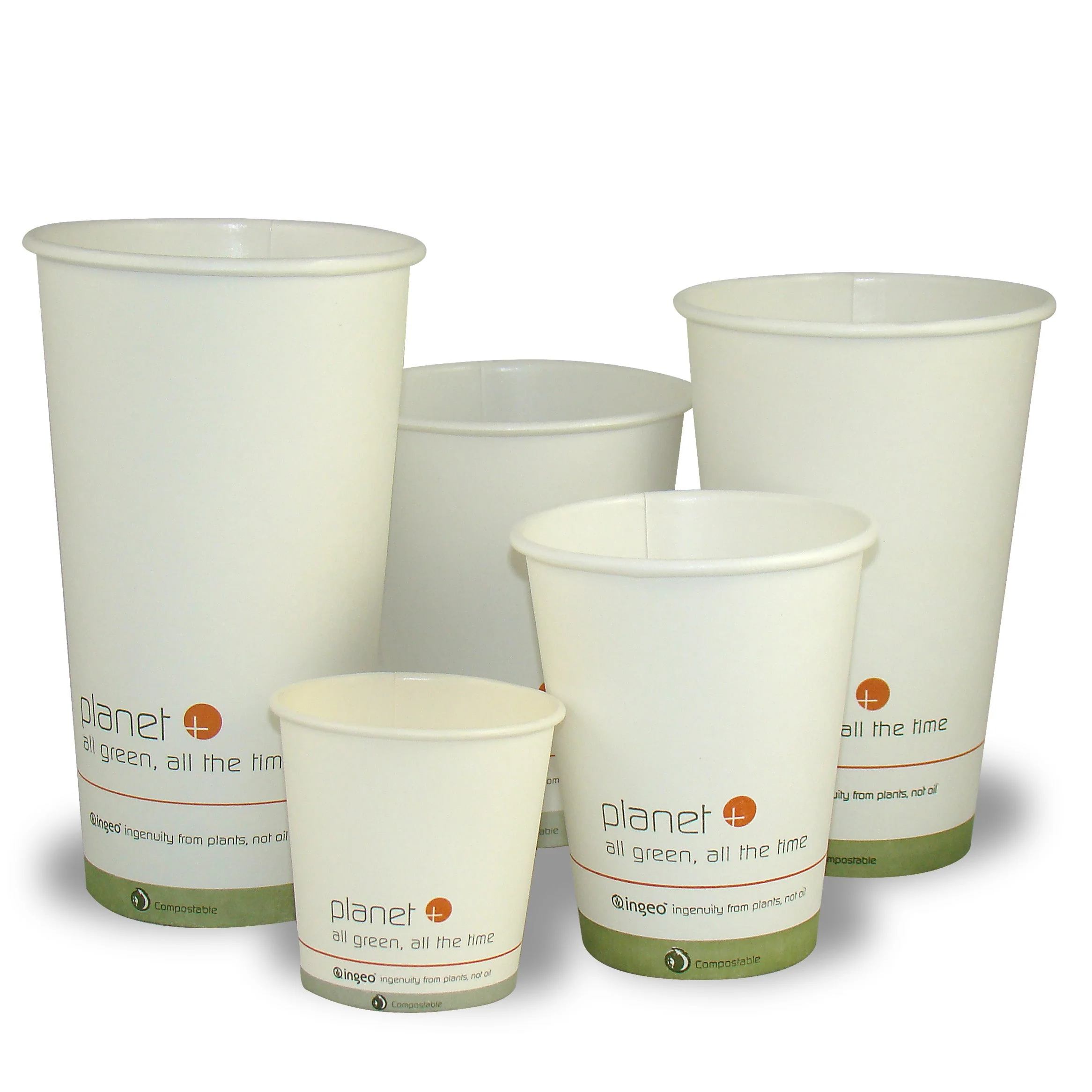 8-Ounce PLA Laminated Hot Cup, 1000-Count Case - Image 2