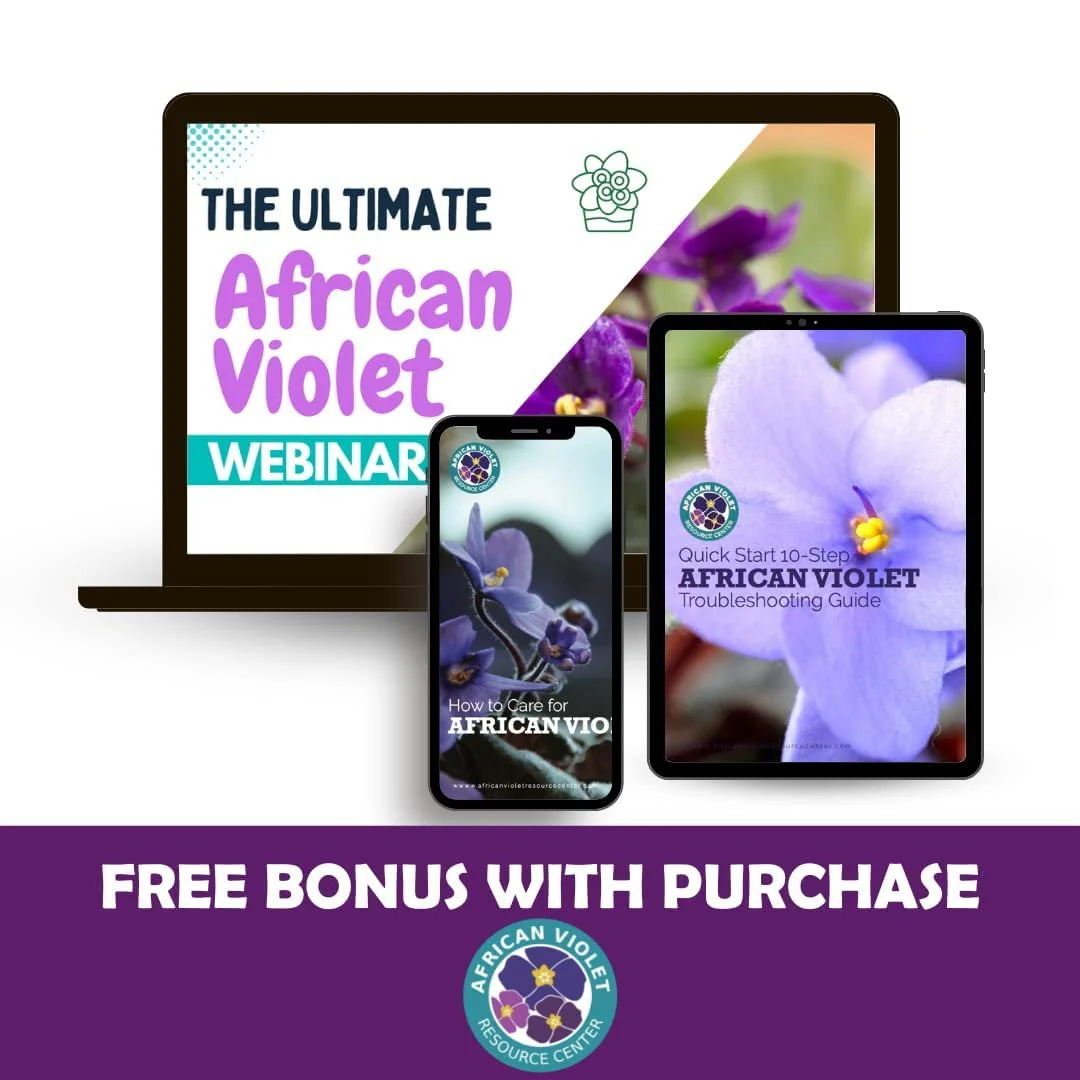 African Violet Plant Food by Houseplant Resource Center | Liquid Fertilizer for Vibrant Blooms & Healthy Growth, Easy-to-Use (8 Fluid Ounces) by Houseplant Resource Center - Image 5