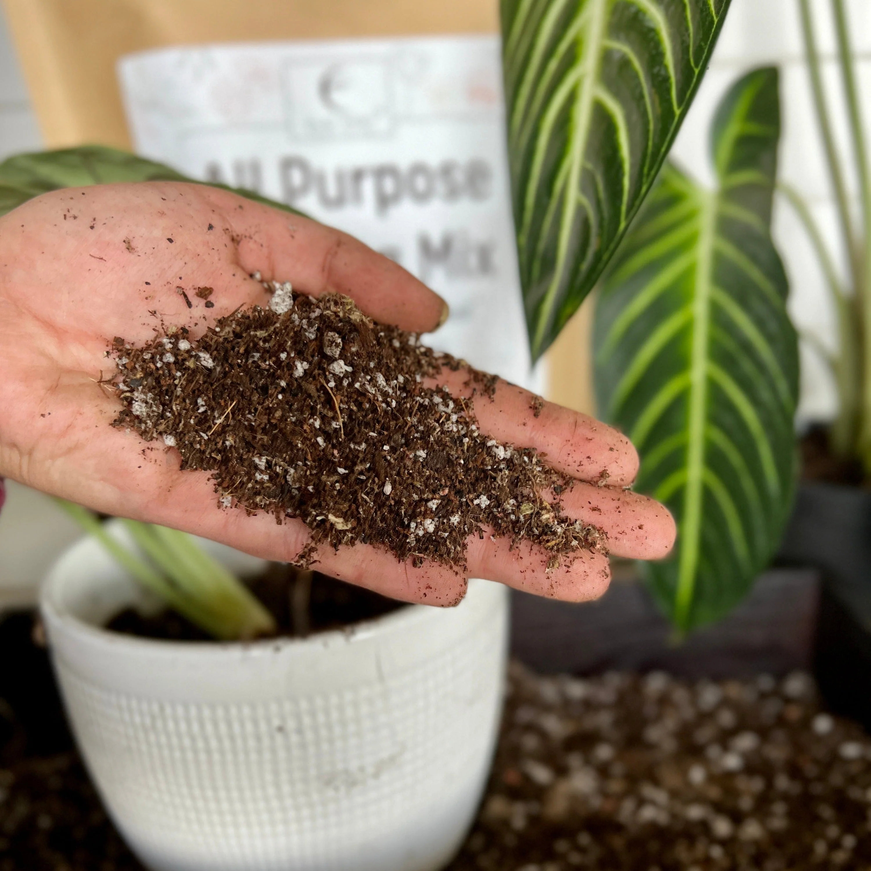 All-Purpose Soil Mix by Elm Dirt - Image 3