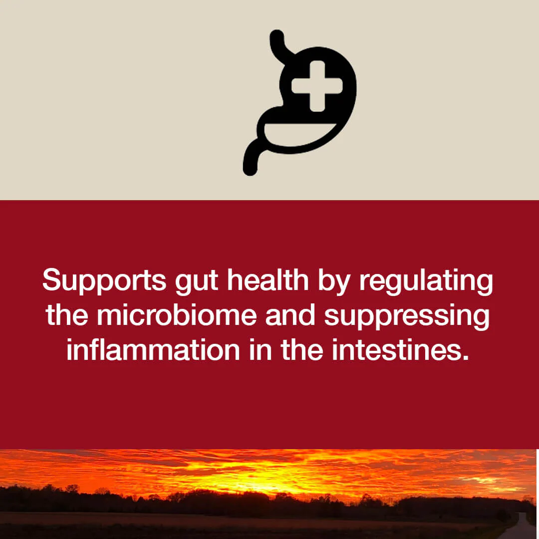 Berberine Plus by Dr Emil Nutrition - Image 6
