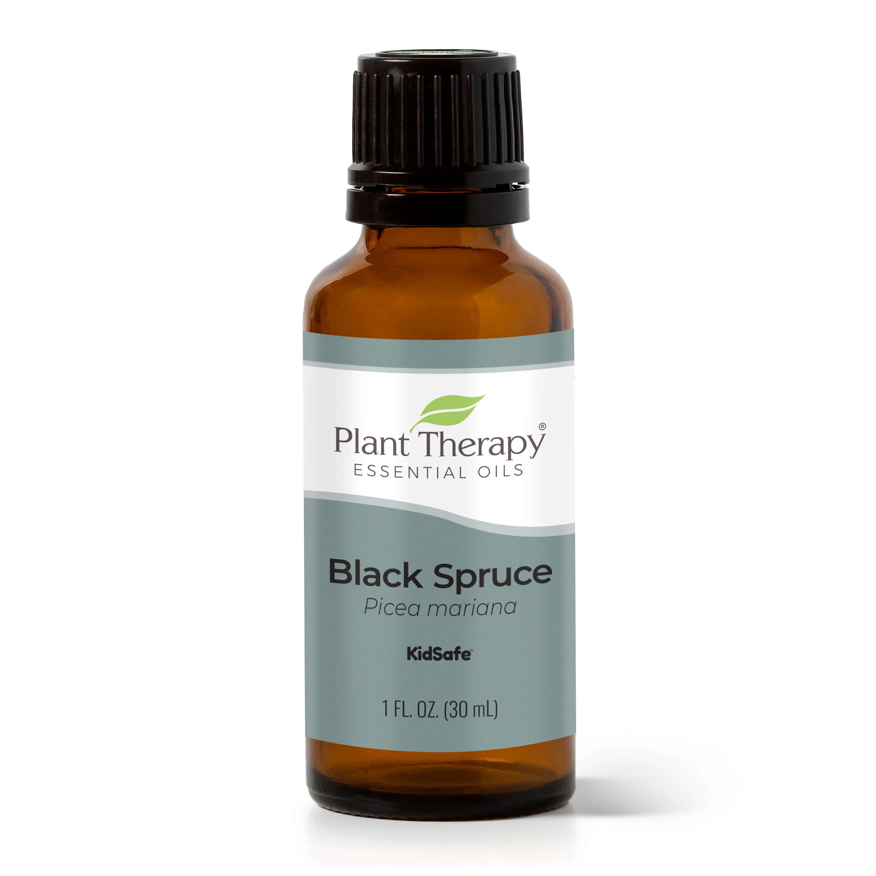 Black Spruce Essential Oil - Image 4