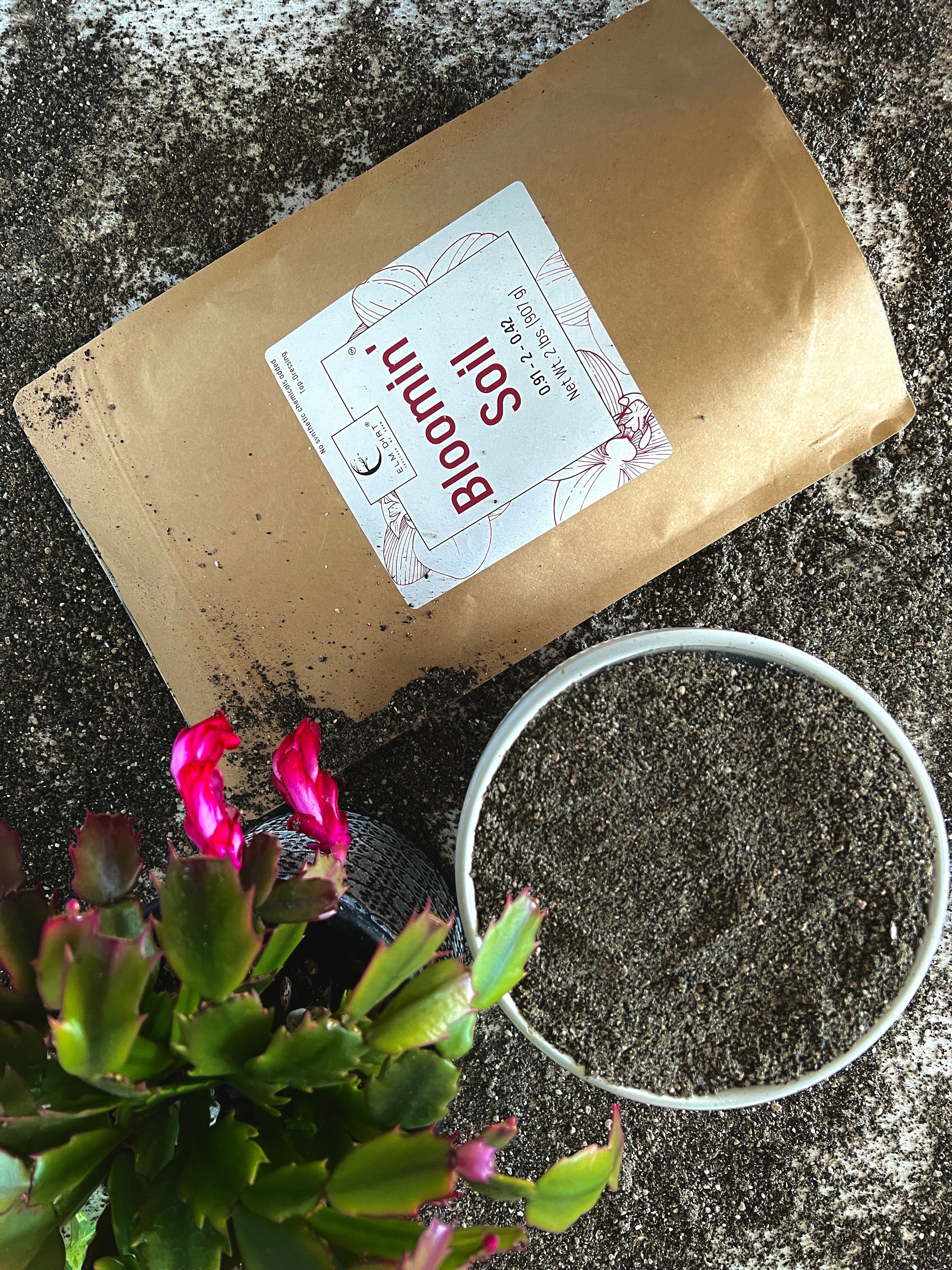 Bloom Power Bundle by Elm Dirt - Image 5