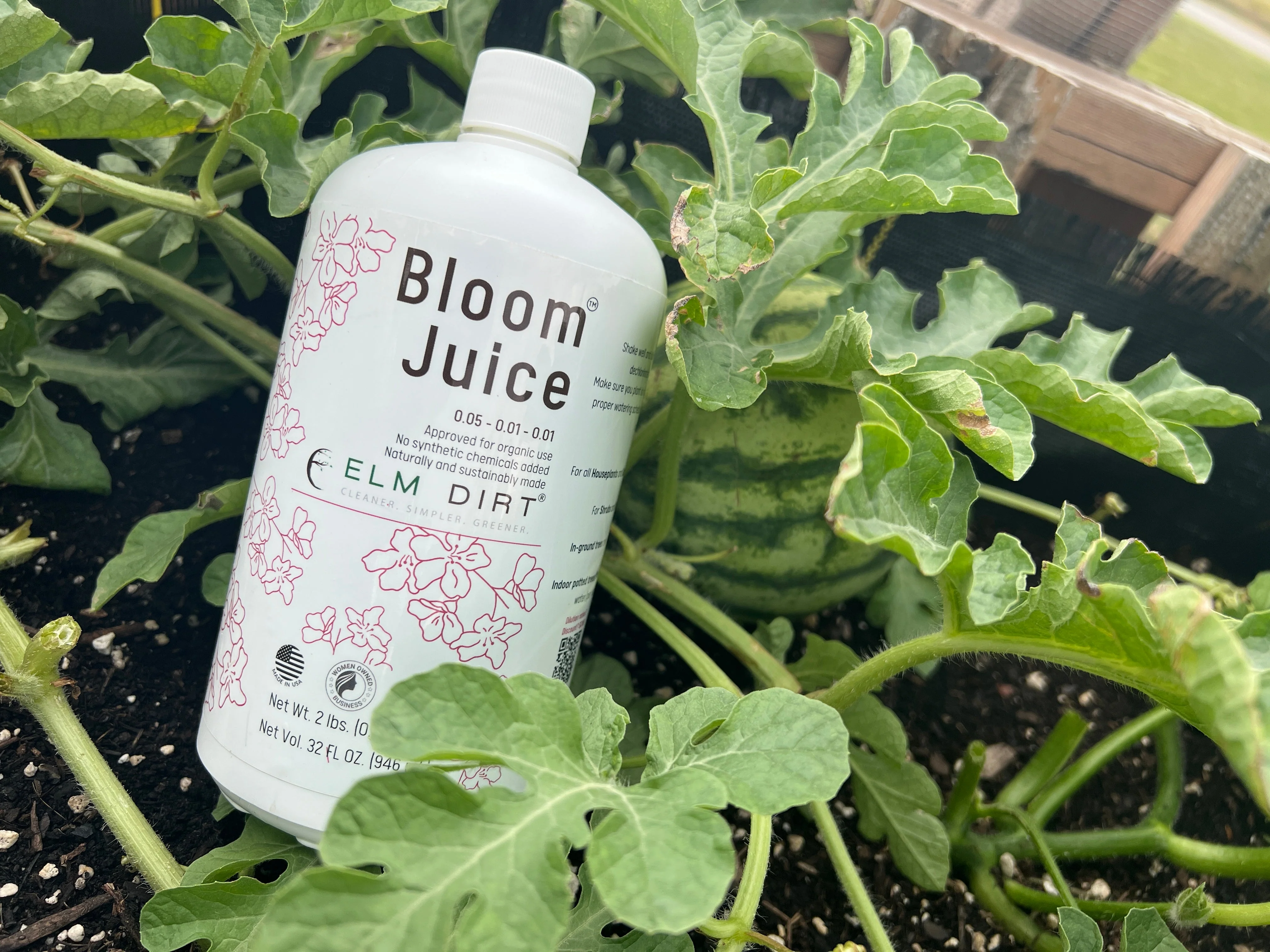 Bloom Power Bundle by Elm Dirt - Image 7