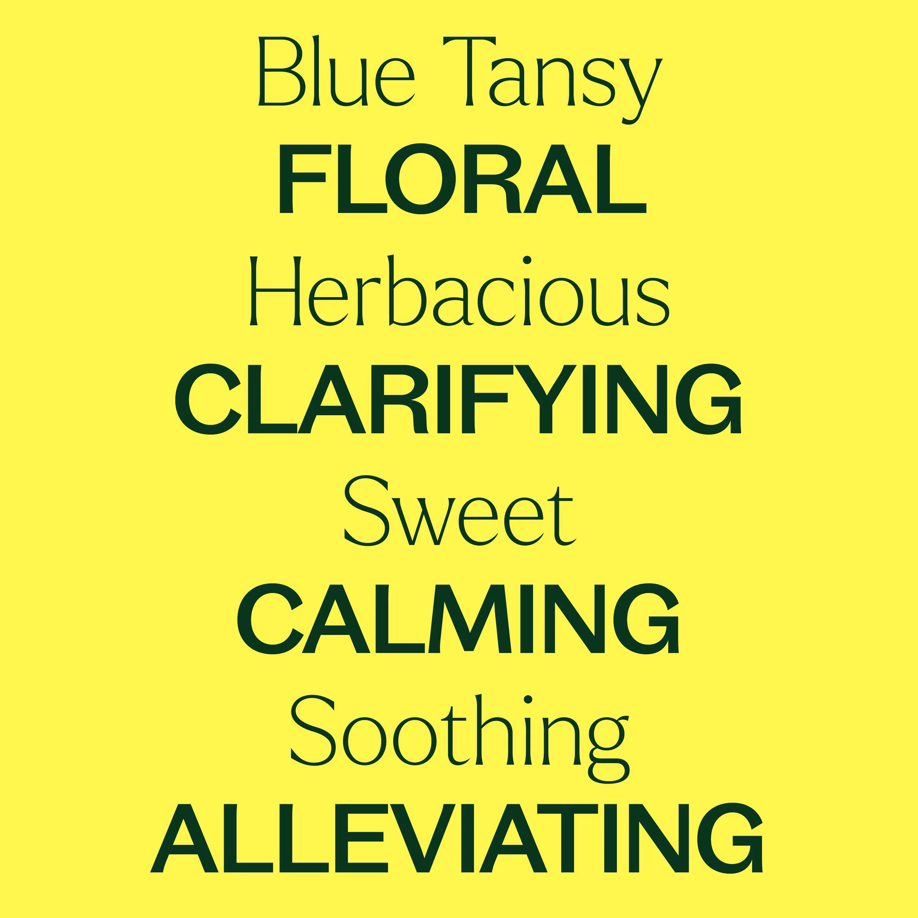 Blue Tansy Essential Oil - Image 2