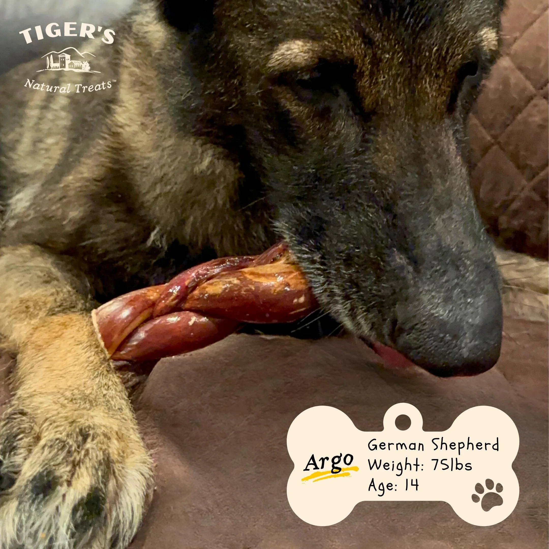 Braided Gullet Sticks for Dogs - Image 5