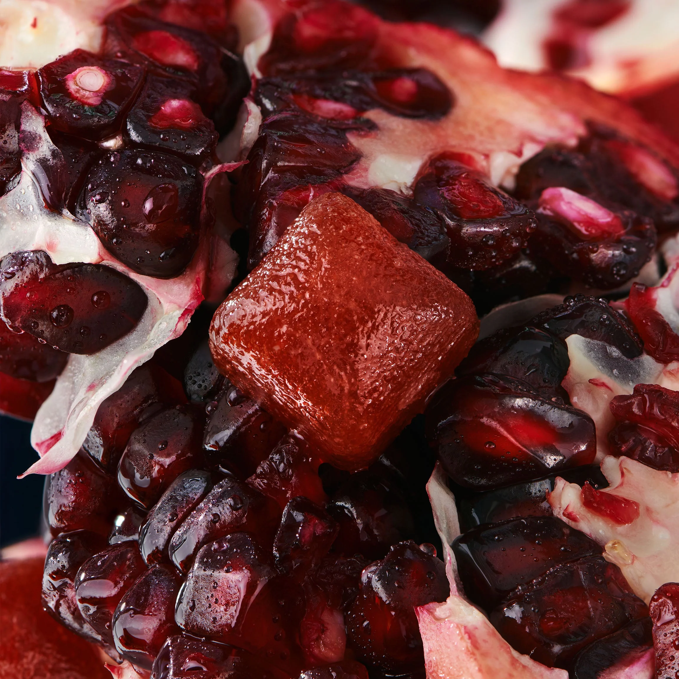 Brain Boost Gummies - Pomegranate Hibiscus by Mojo | Mushroom Dosed Gummies - Image 4