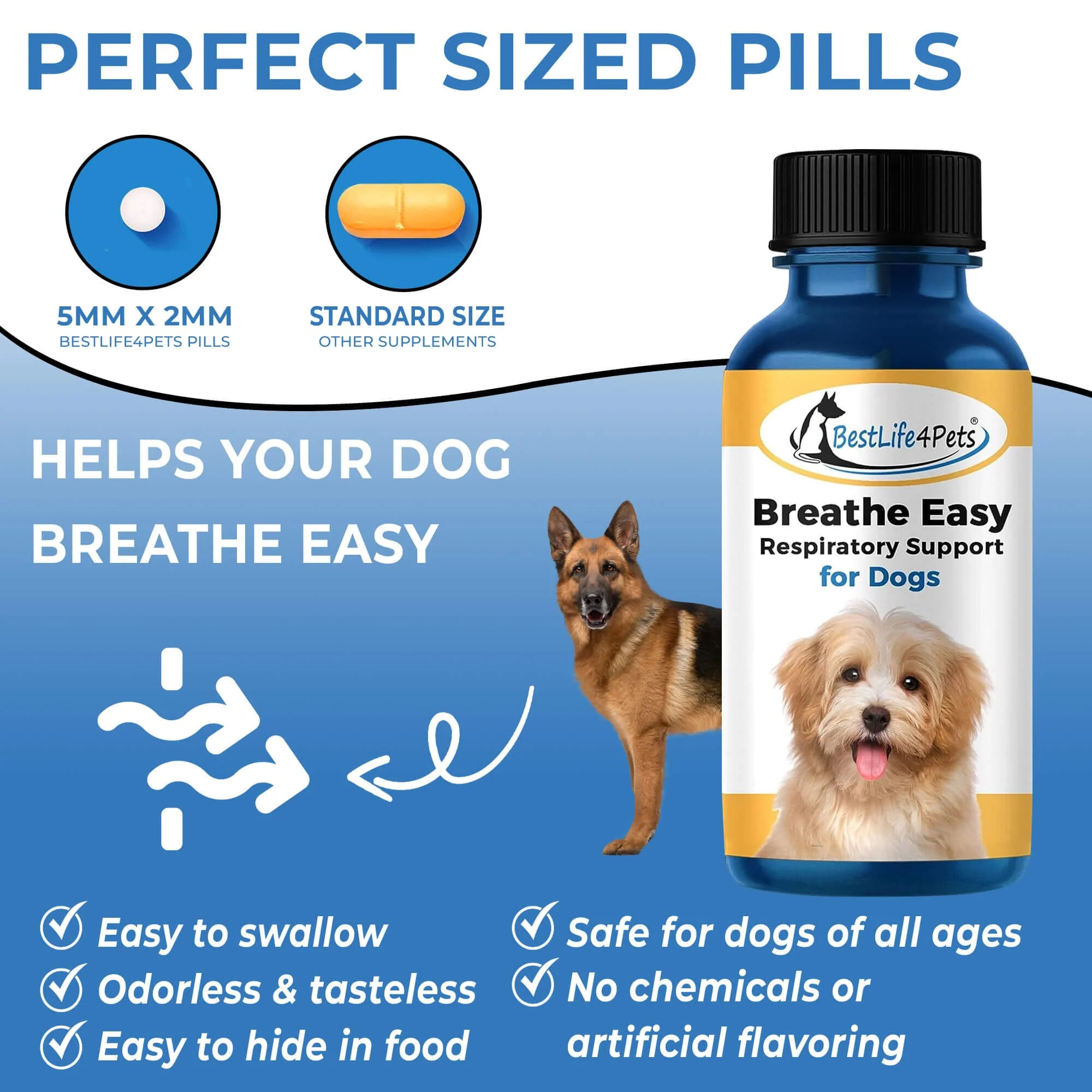 Breathe Easy for Dogs - Kennel Cough & Respiratory Support Remedy by BestLife4Pets - Image 5