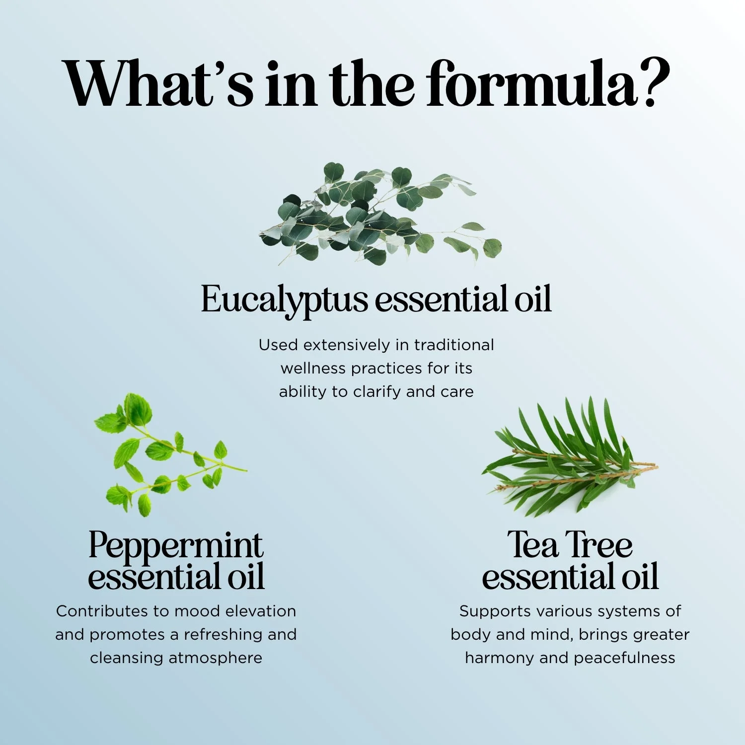 Breathe Essential Oil Blend - Image 27