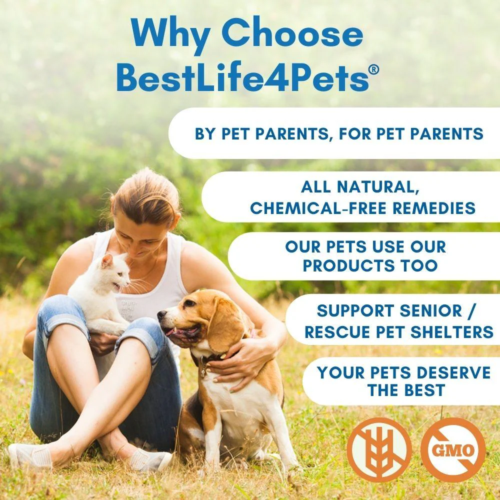 Broad Spectrum De-wormer for All Dogs by BestLife4Pets - Image 7
