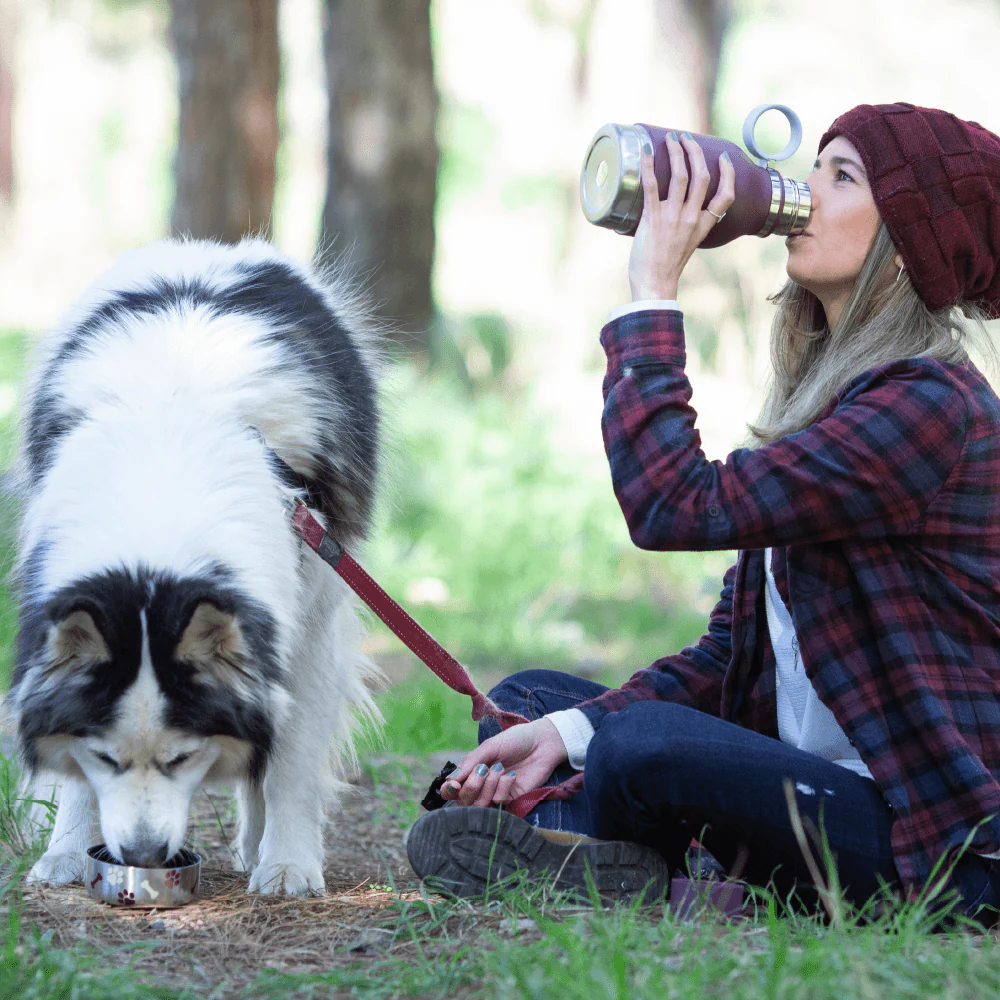 Burgundy Dog Bowl Bottle by ASOBU® - Image 7