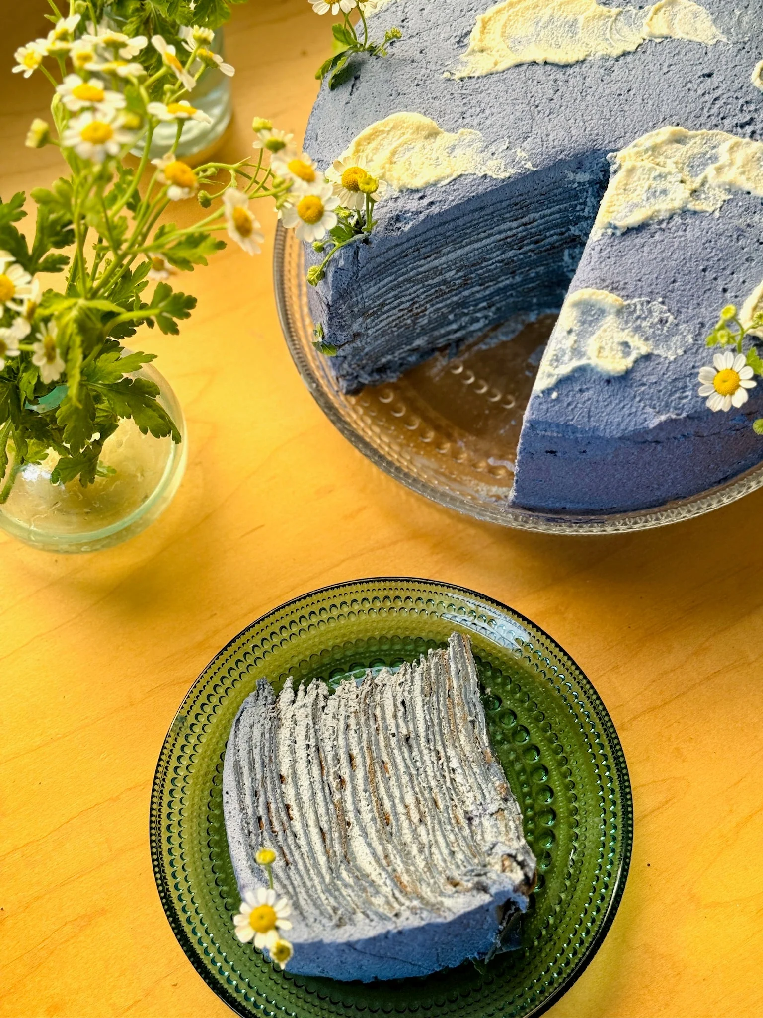 BUTTERFLY PEA FLOWER | Blue Healer - Image 10