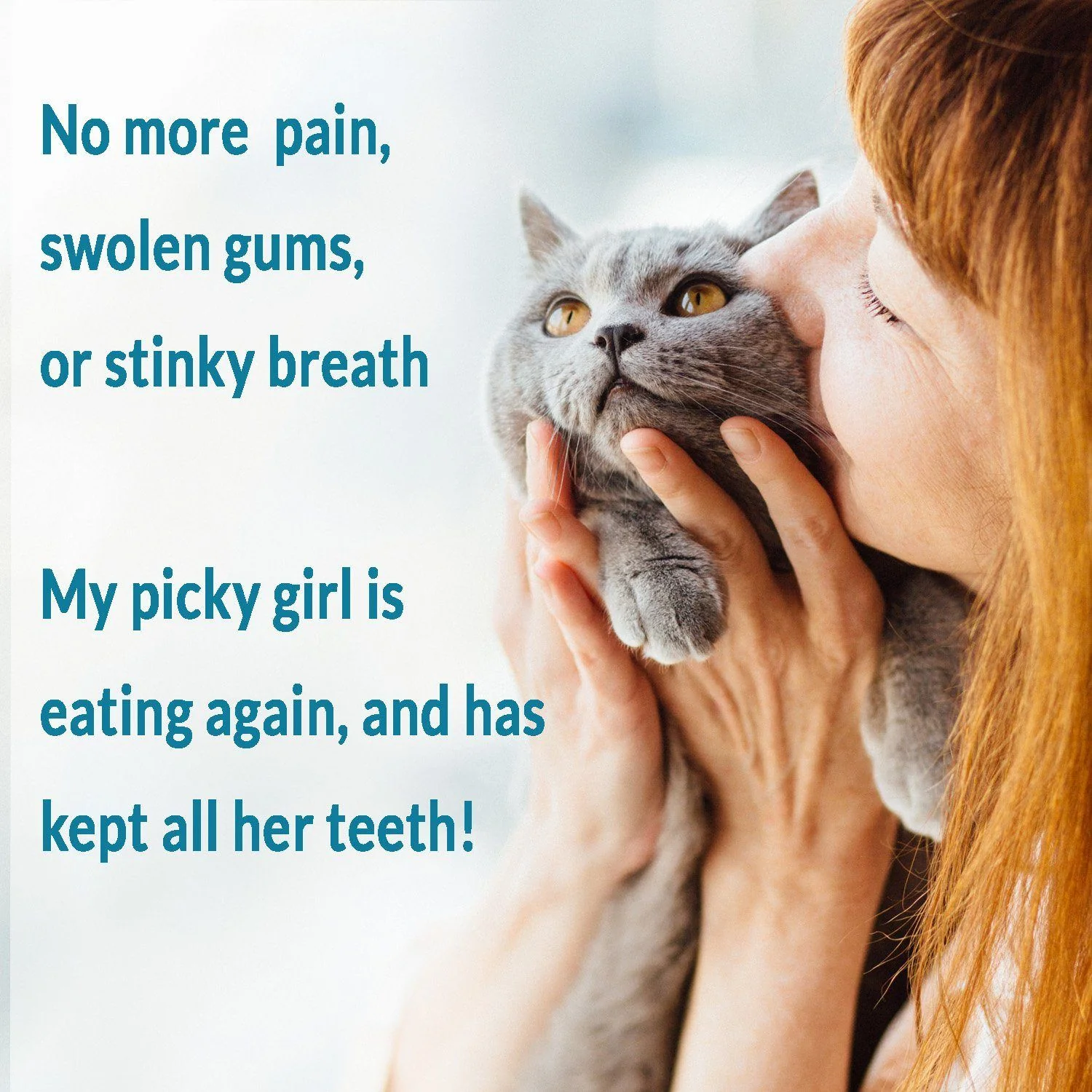 Cat Dental Care and Bad Breath Remedy - Natural Solution for Better Feline Oral Health by BestLife4Pets - Image 4