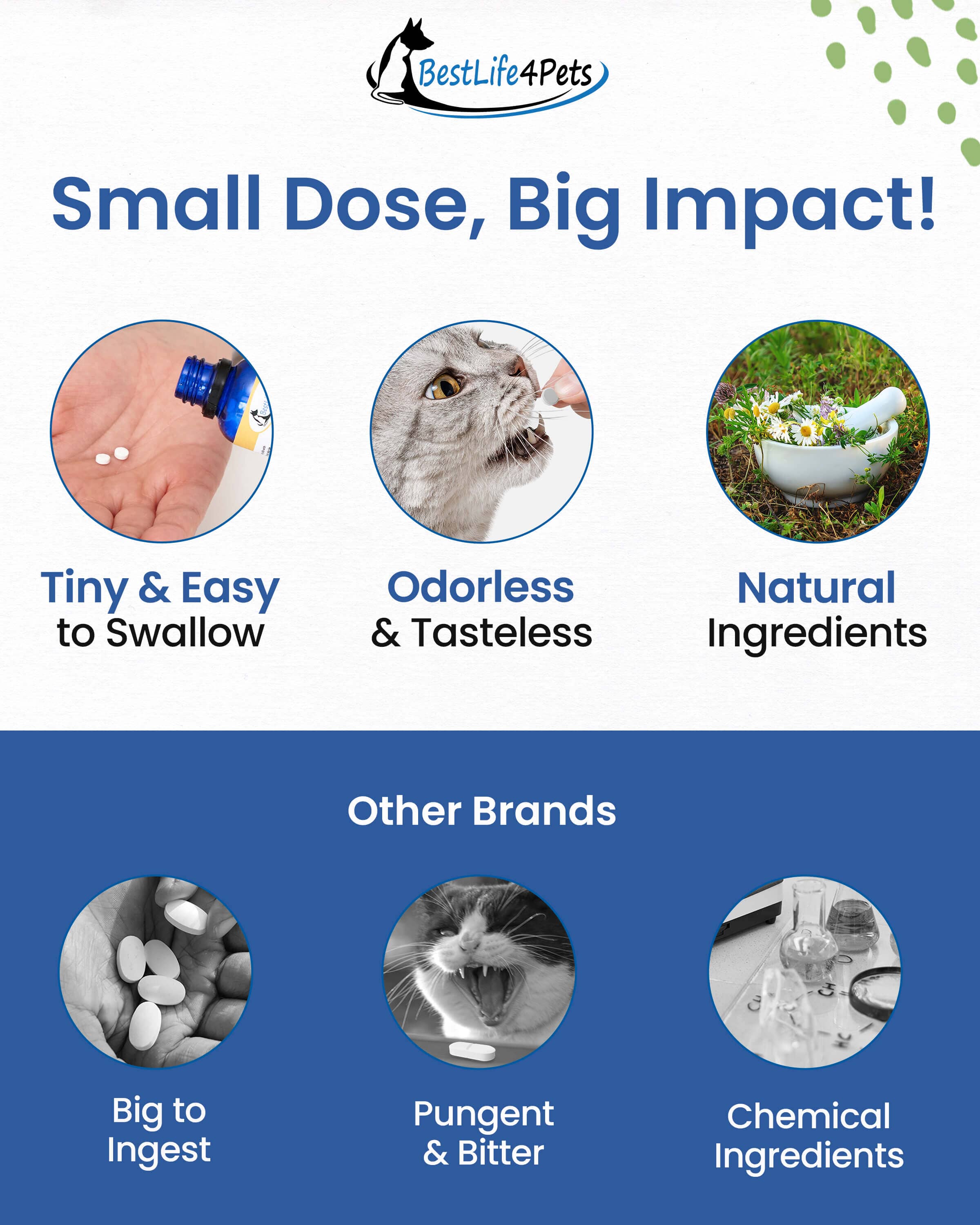 Cat Hip and Joint Pain Relief - Effective Anti-inflammatory and Arthritis Pain Medicine by BestLife4Pets - Image 5