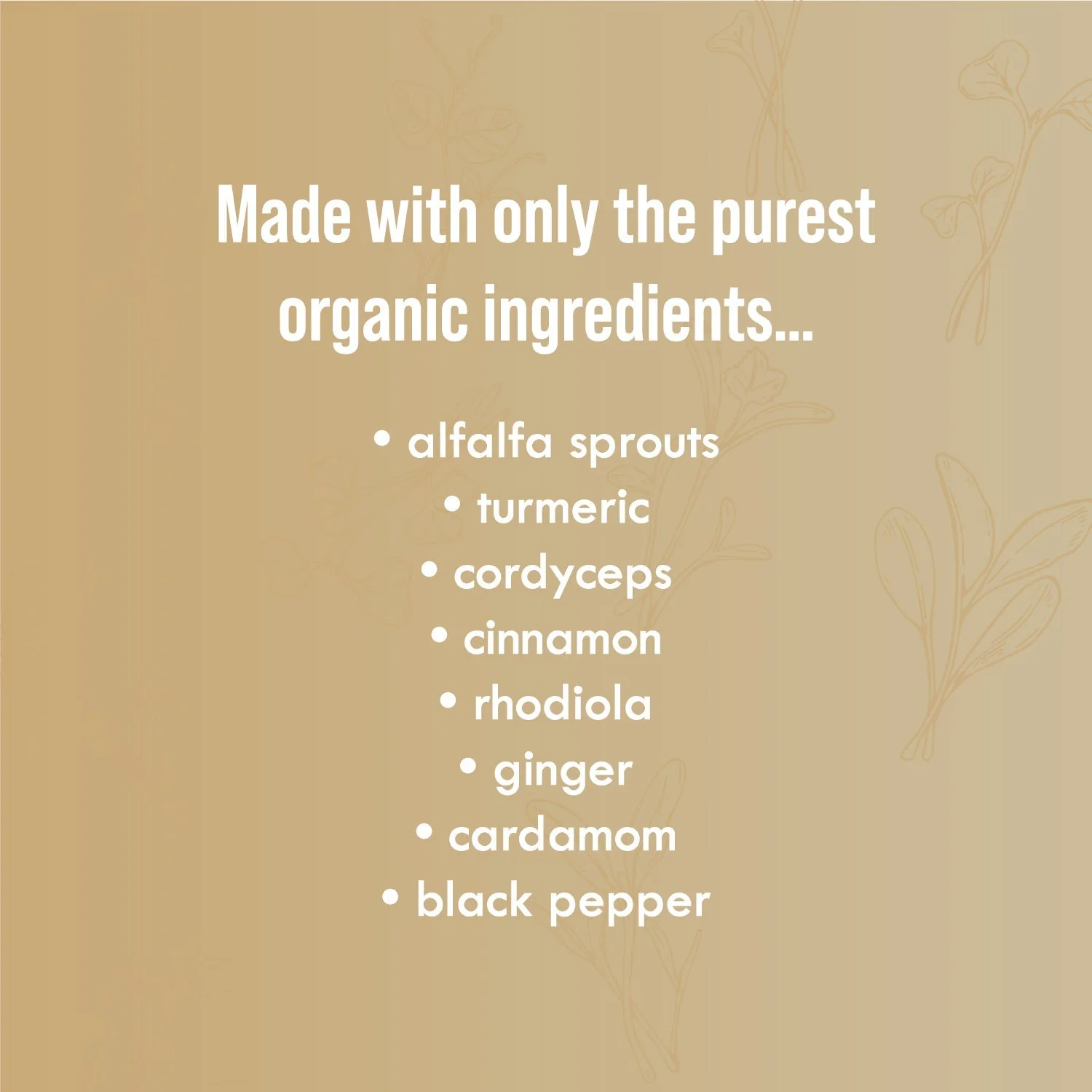 Chai Balance Sprout Powder - Image 6