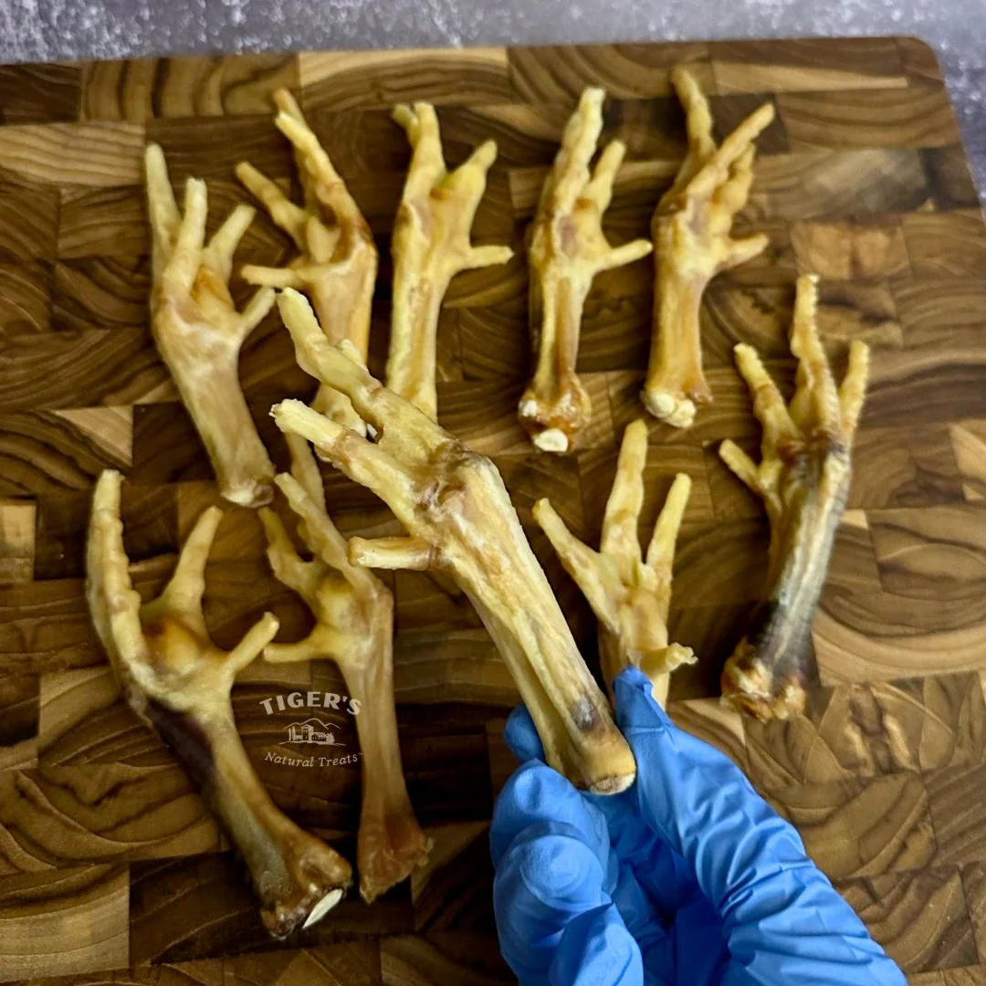 Chicken Feet for Dogs - Image 4