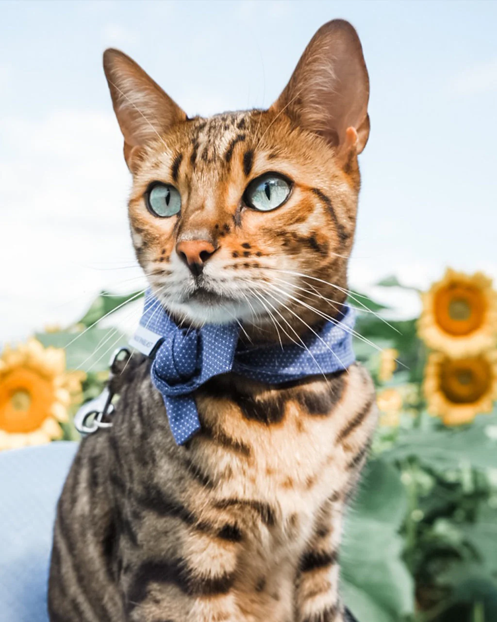 CLASSIC BANDANA by MODERNBEAST - Image 8