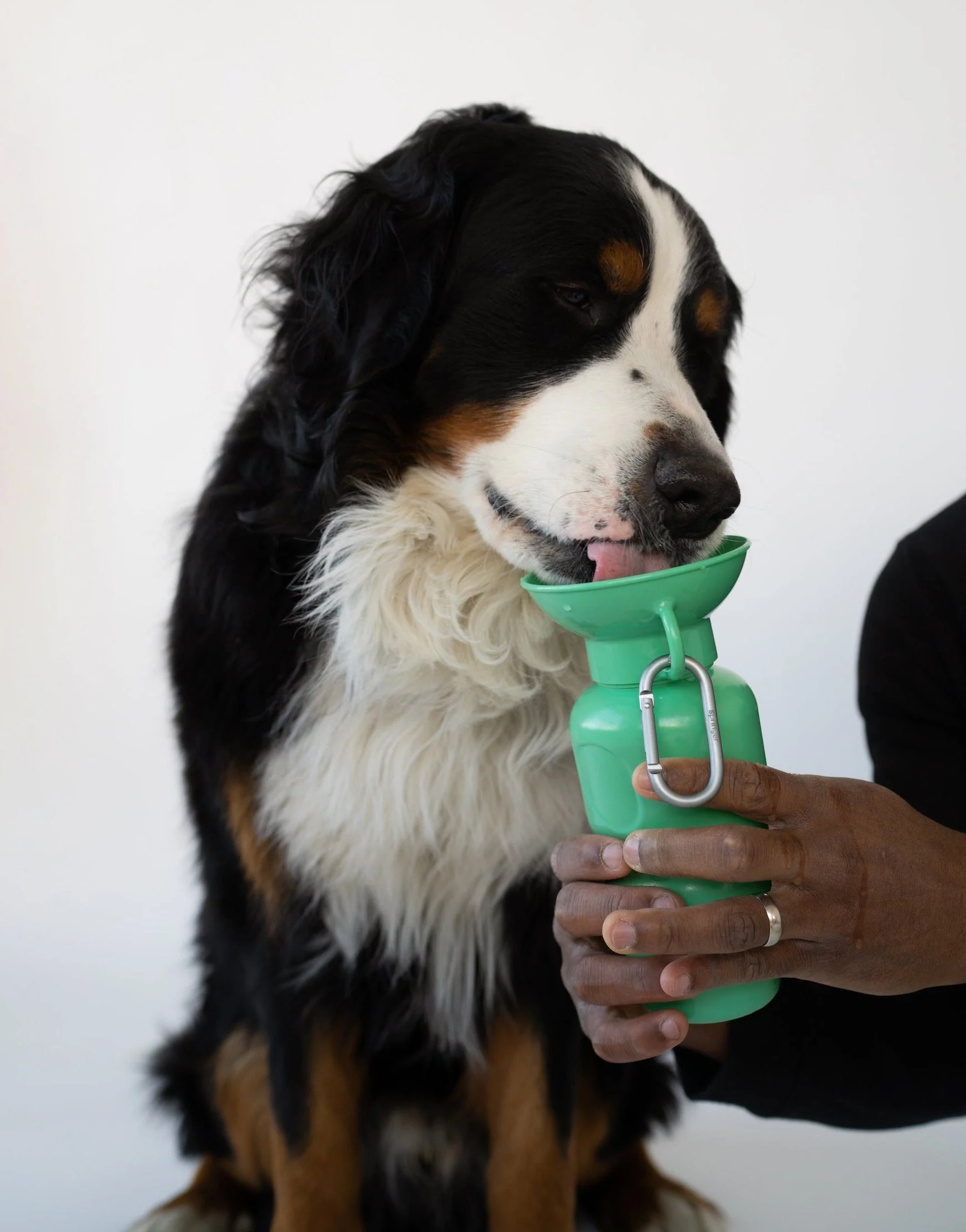 Classic Dog Travel Bottle - Image 20