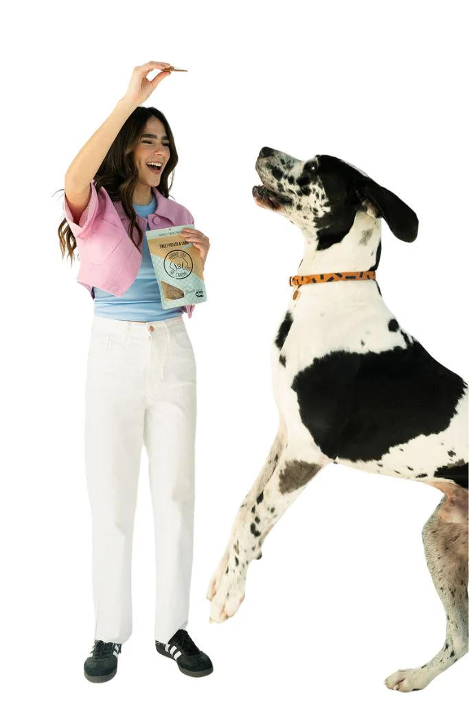 Crisps & Jerky Bundle - Image 6