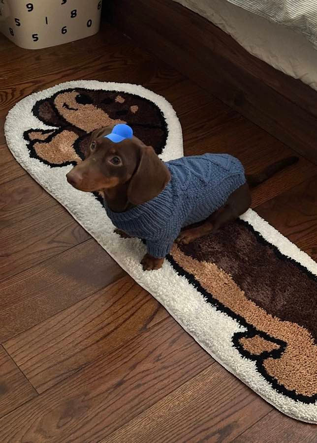 Cute Whimsical Ultra Soft Dachshunt Runner Rug - Image 2