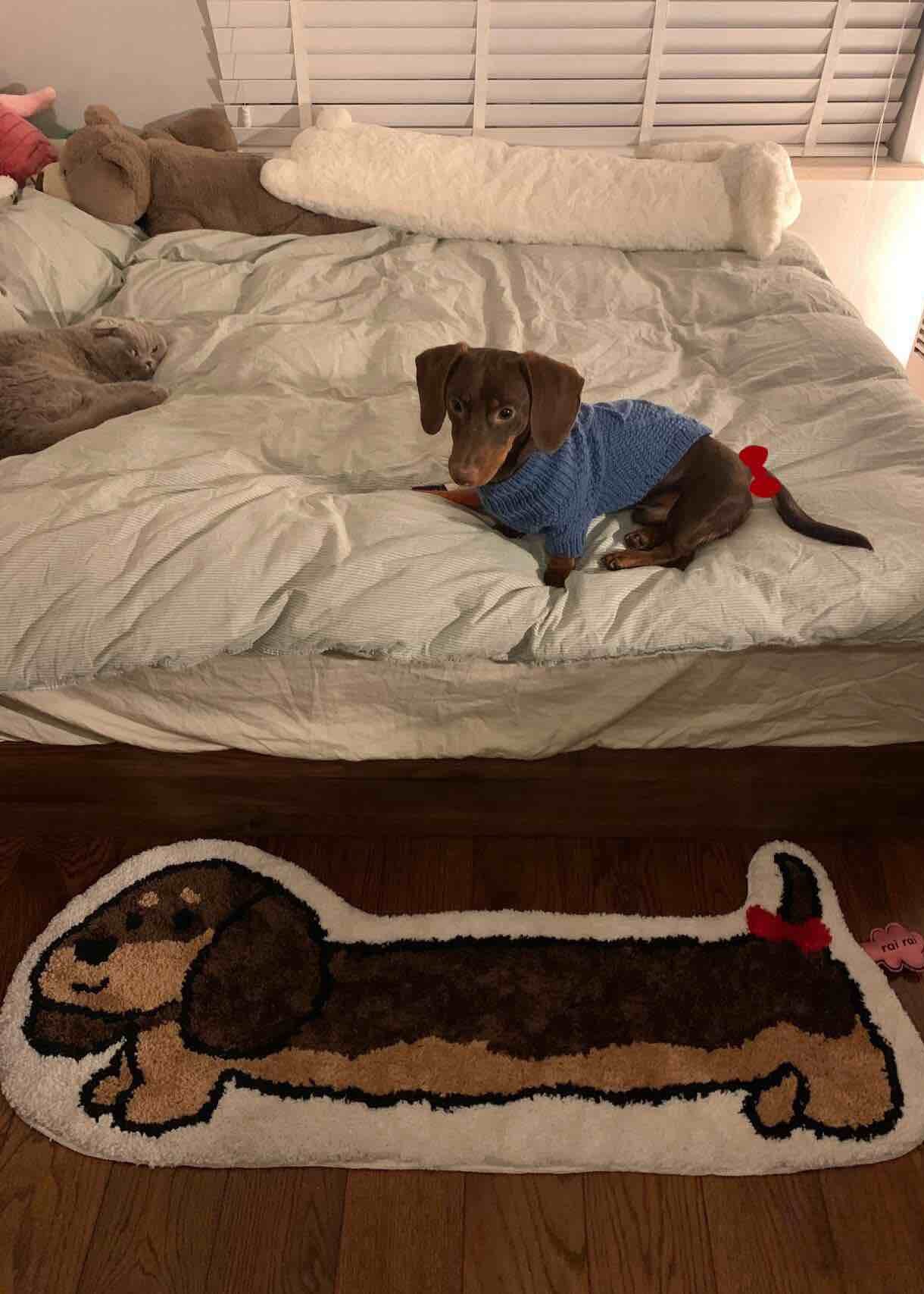 Cute Whimsical Ultra Soft Dachshunt Runner Rug - Image 5