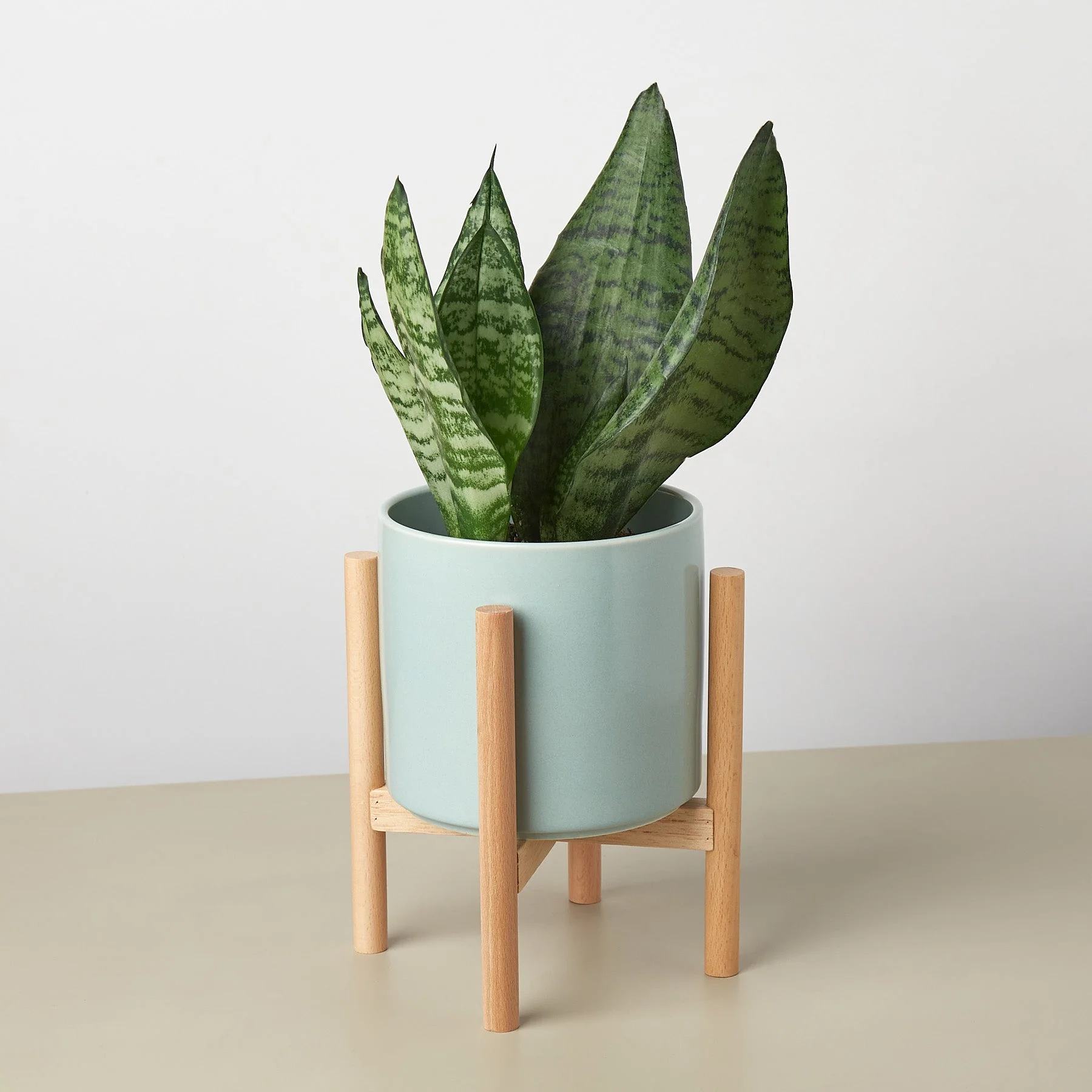 Cylinder Planter with Wood Stand - 5" Pot - Image 7