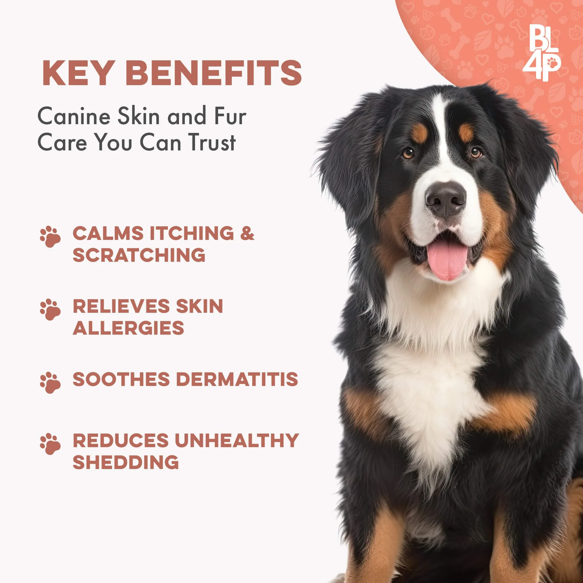 Dog Healthy Skin & Coat Remedy by BestLife4Pets - Image 3