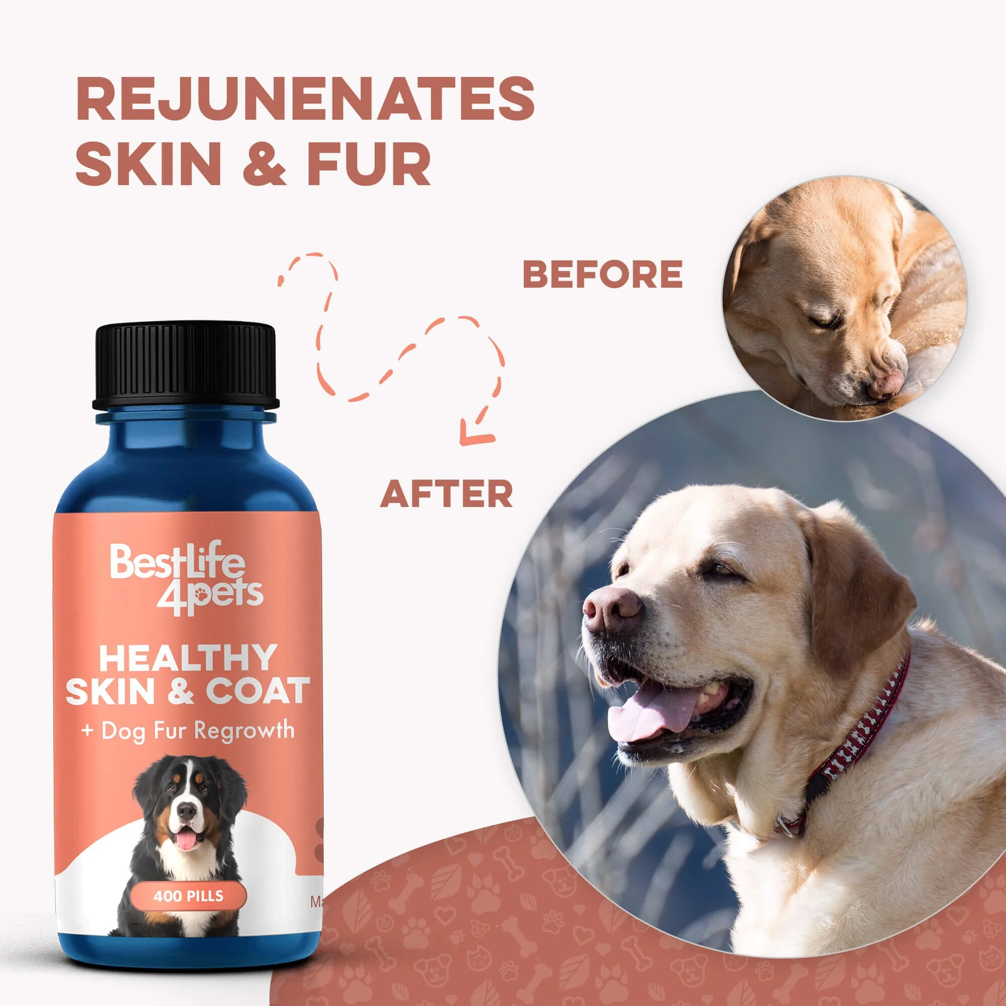 Dog Healthy Skin & Coat Remedy by BestLife4Pets - Image 4