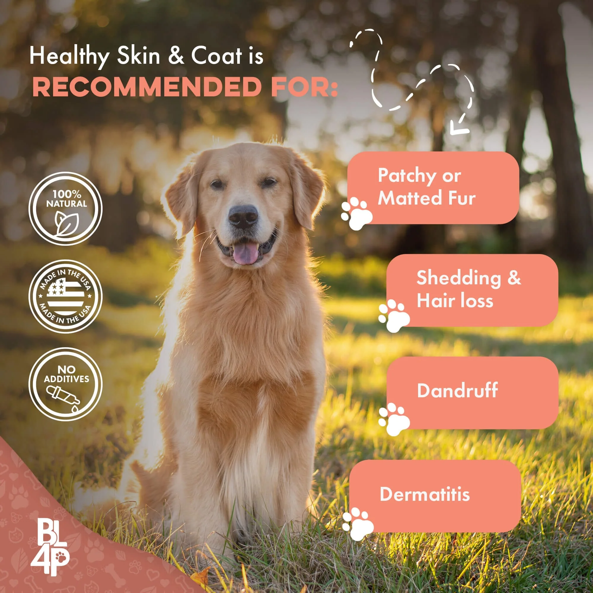 Dog Healthy Skin & Coat Remedy by BestLife4Pets - Image 6