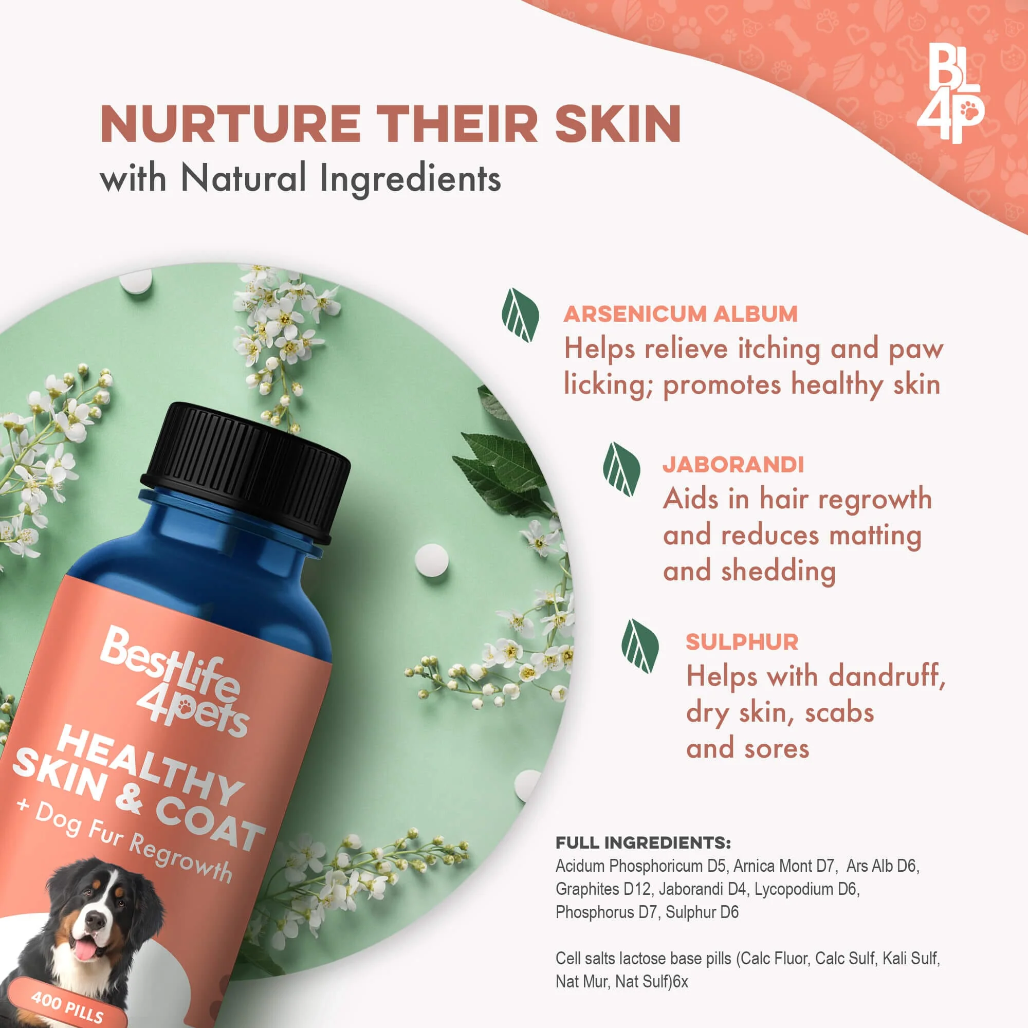 Dog Healthy Skin & Coat Remedy by BestLife4Pets - Image 7