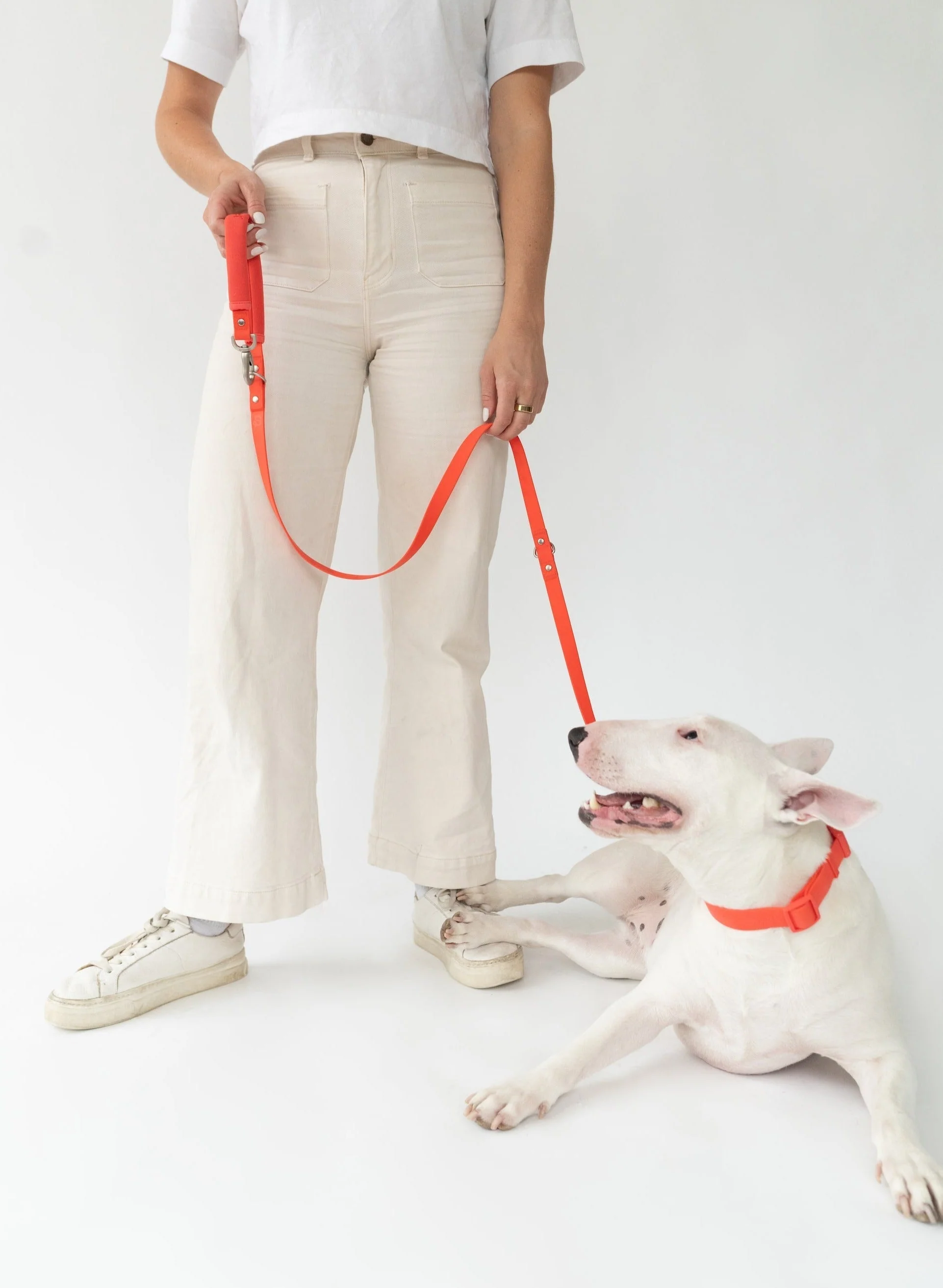 Dog Leash - Image 6