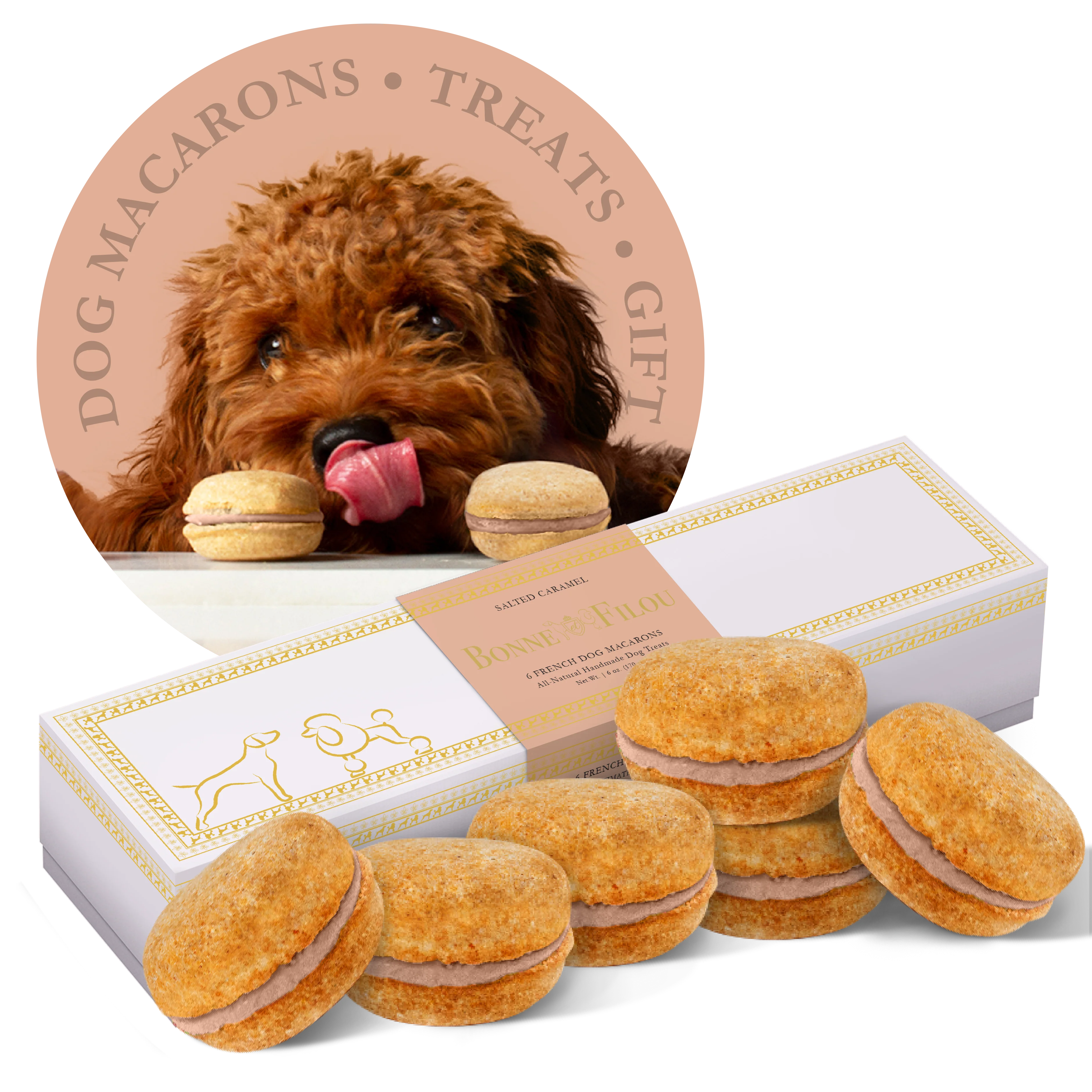 Dog Macarons (Box of 6) - Image 11