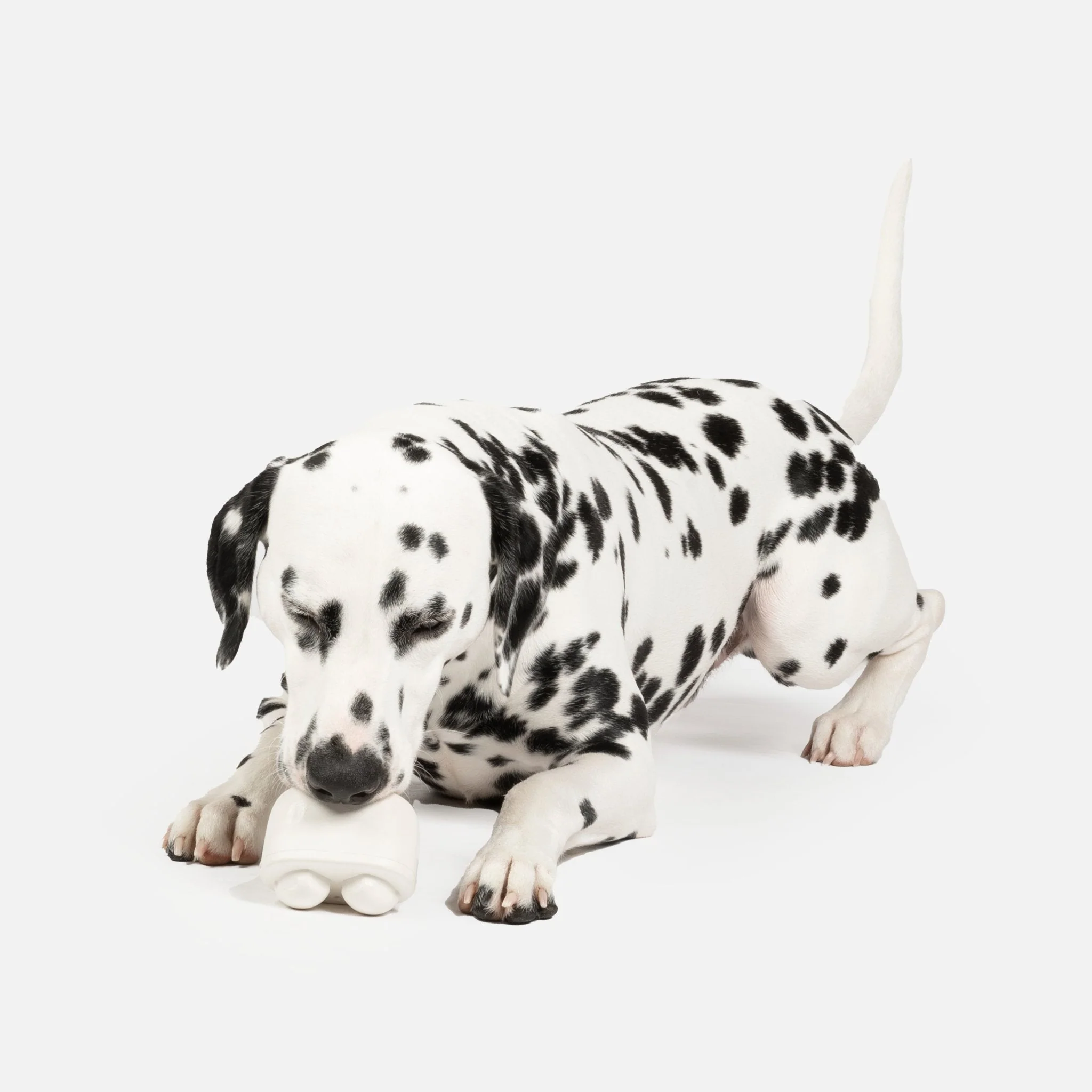 Earbuds With Vanilla Scent Dog Toy - Image 5