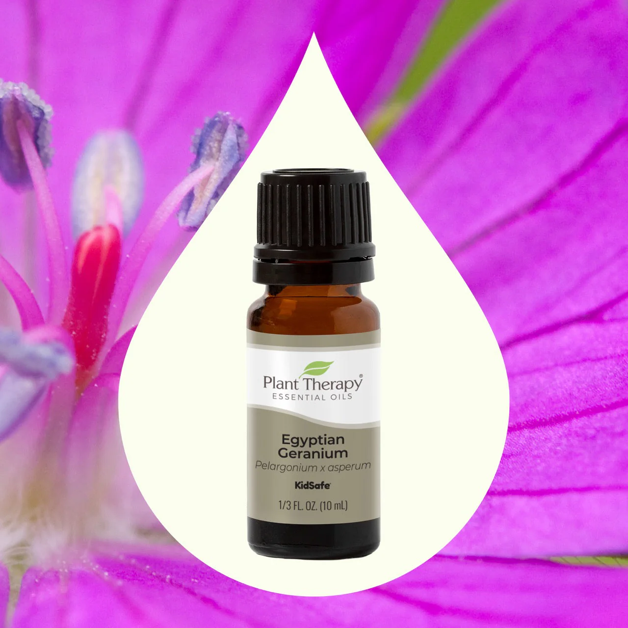 Egyptian Geranium Essential Oil - Image 2