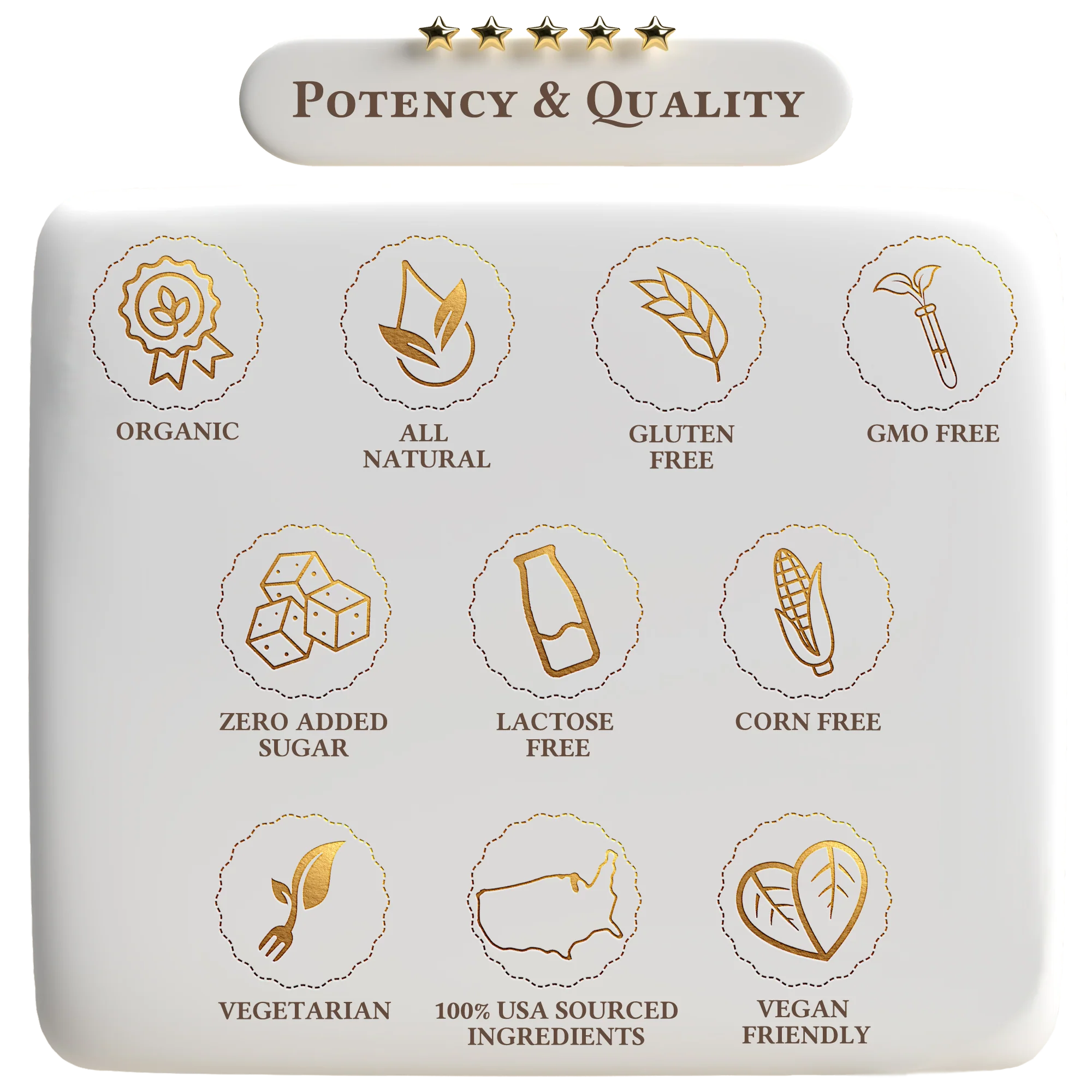 Elderberry Immune Support by A Quality Life Nutrition - Image 4