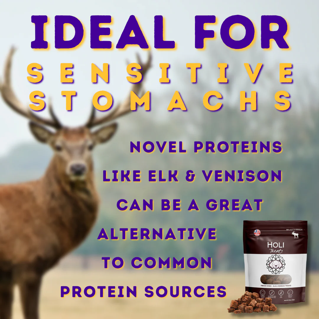 Elk & Venison Dog Treats by HOLI - Image 3