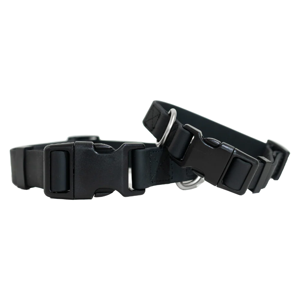 Extra Large Dog Collar - Image 11