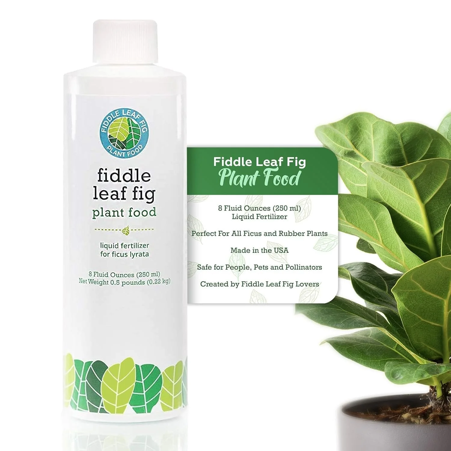 Fiddle Leaf Fig Tree Plant Food for Ficus Lyrata (and Ficus Audrey) - Enriched with Calcium, Urea-Free, and Featuring an NPK Ratio of 3-1-2 to Promote Robust Roots, Stems & Leaves (8 Ounces) by Houseplant Resource Center - Image 4