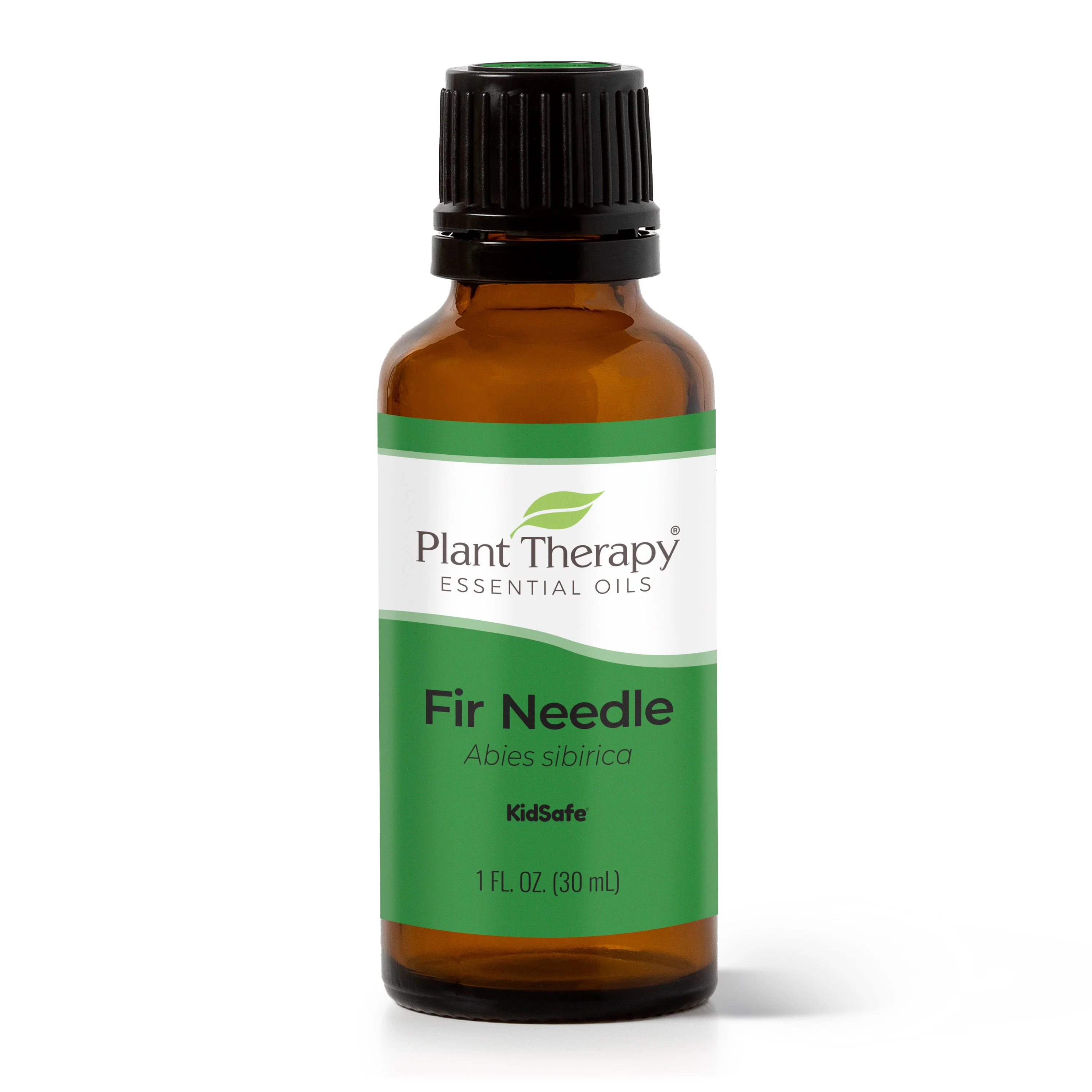 Fir Needle Essential Oil - Image 2