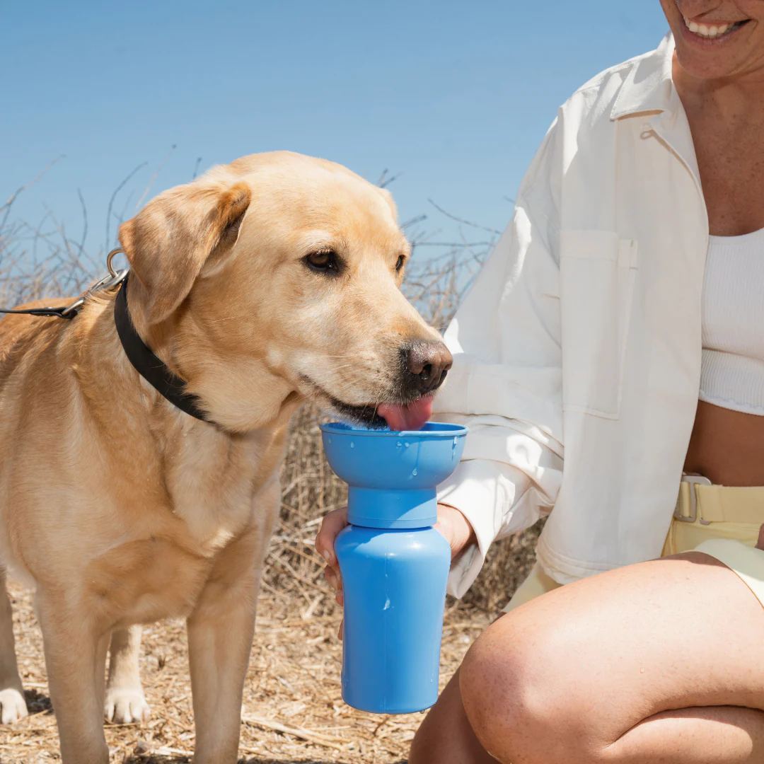 Flip Dog Travel Bottle - Image 8