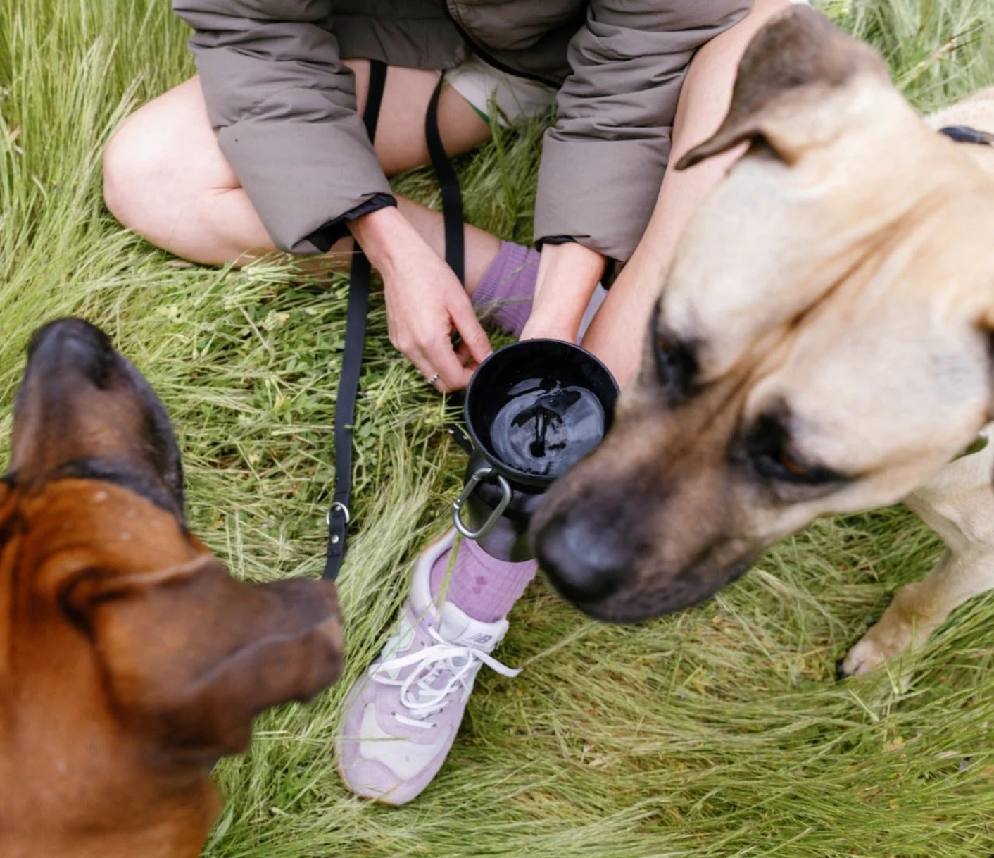 Flip Dog Travel Bottle - Image 17