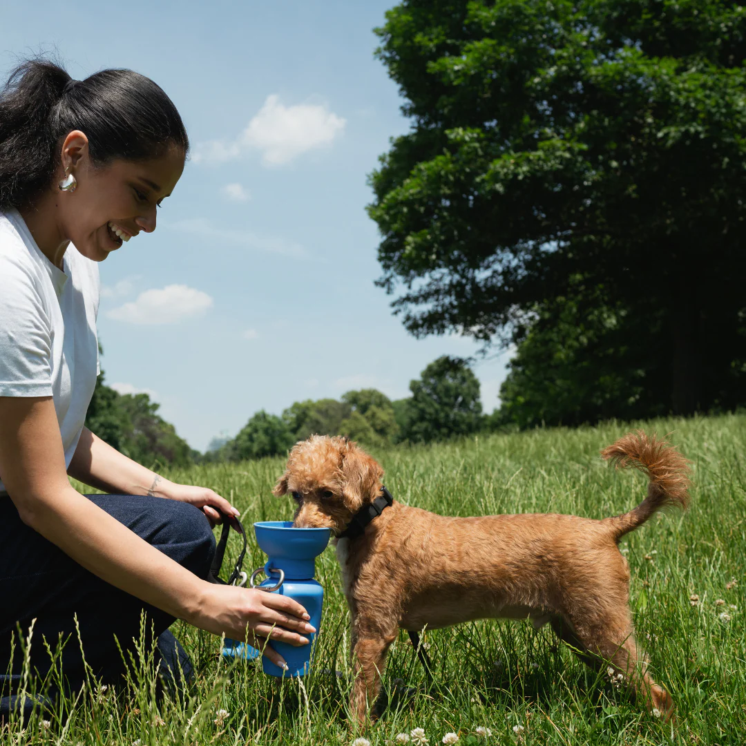 Flip Dog Travel Bottle - Image 2