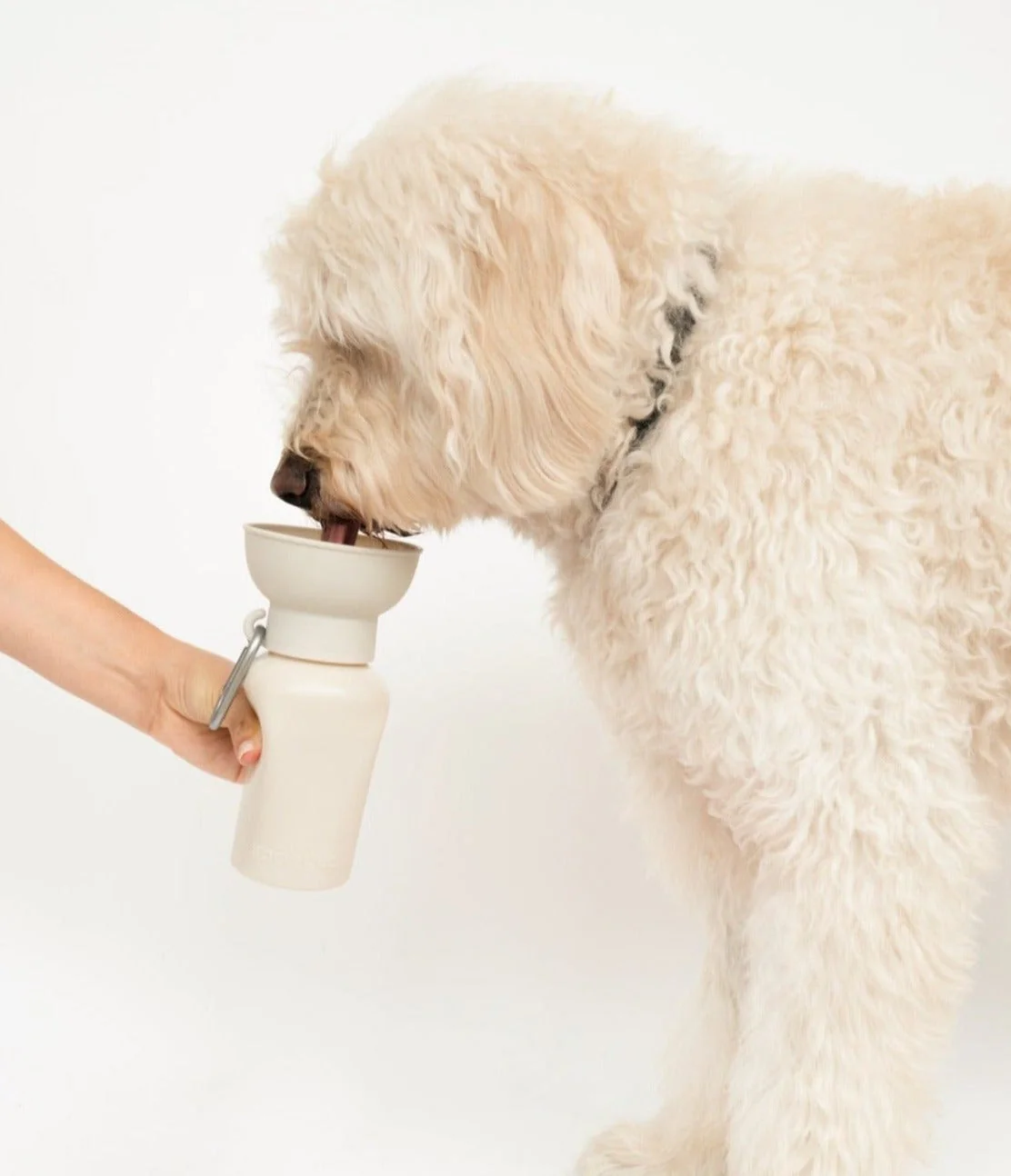 Flip Dog Travel Bottle - Image 9