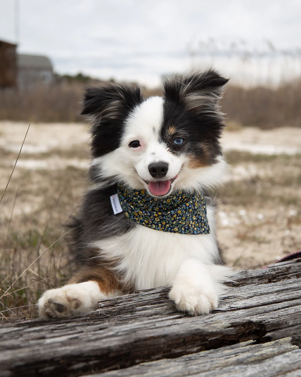 FLORAL BANDANA by MODERNBEAST - Image 17