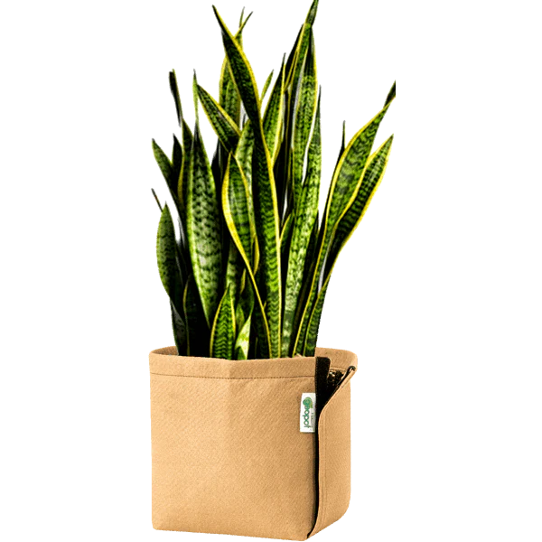 GeoPot Fabric Pot with Velcro - Tan by Geopot - Image 4
