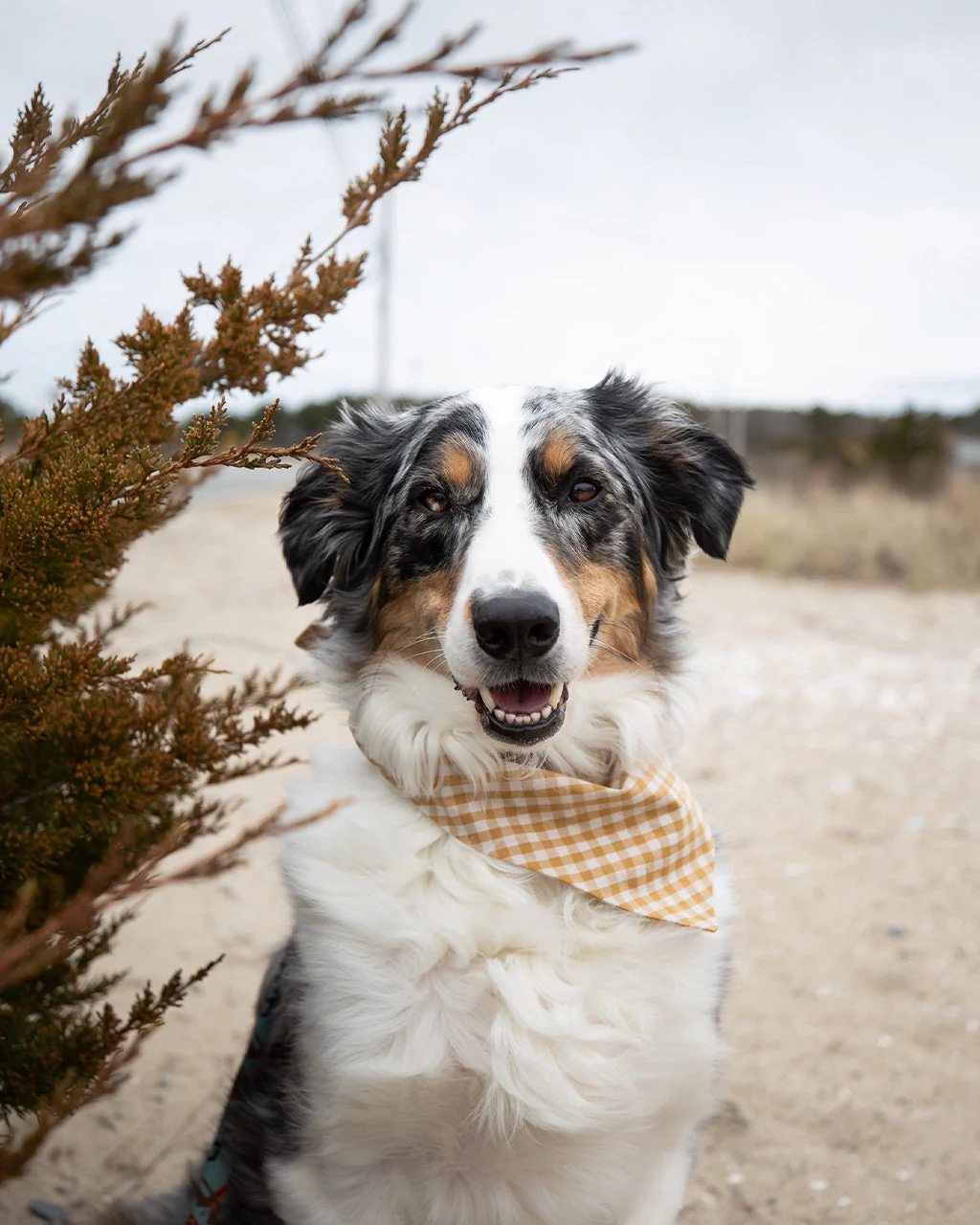 GINGHAM BANDANA by MODERNBEAST - Image 3