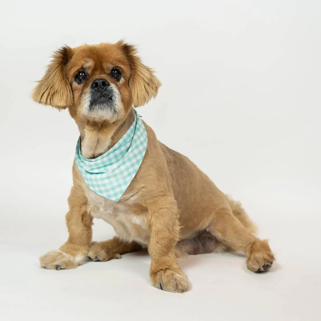 GINGHAM BANDANA by MODERNBEAST - Image 9