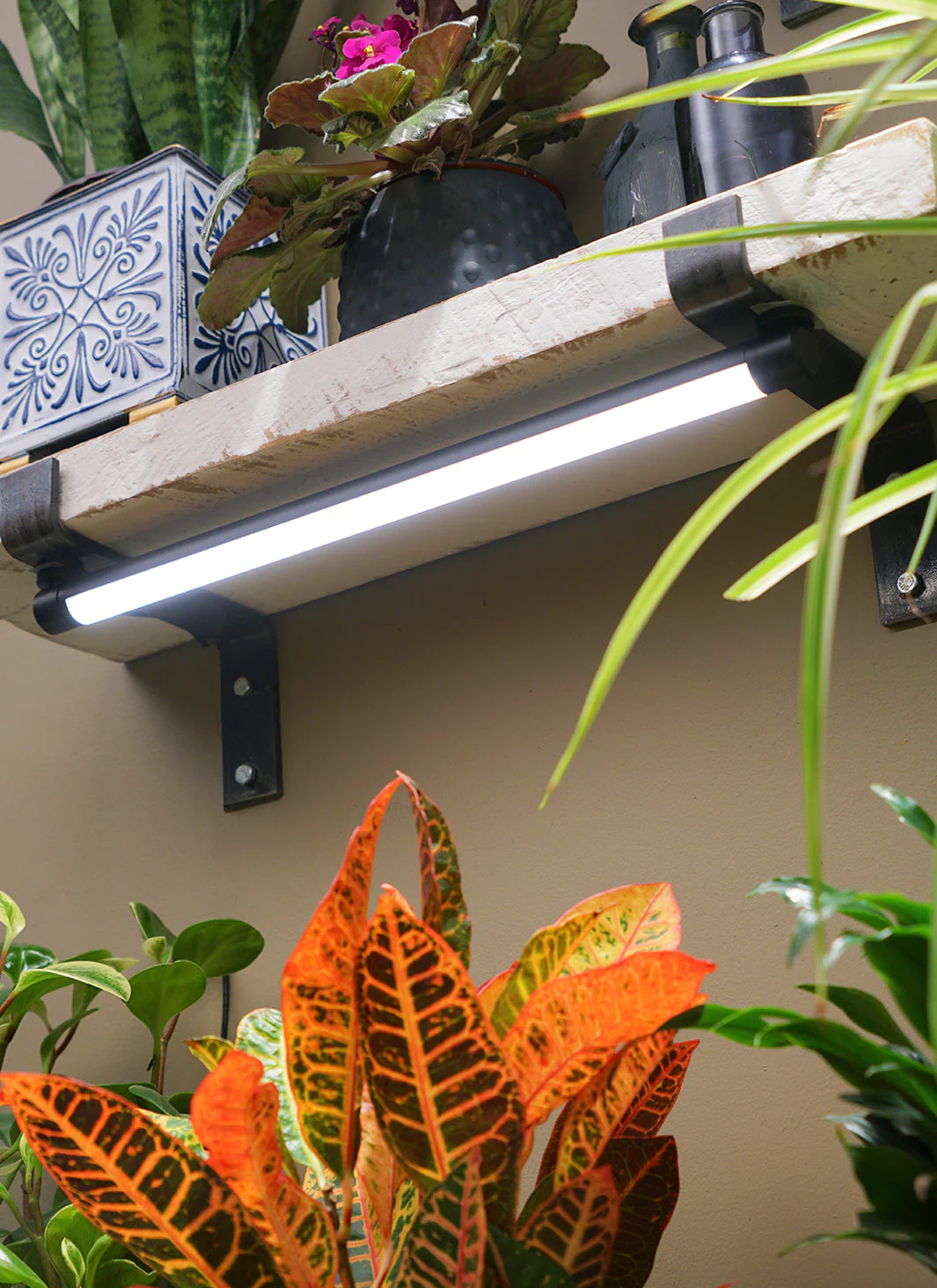 Grove⢠LED Grow Light - Image 3