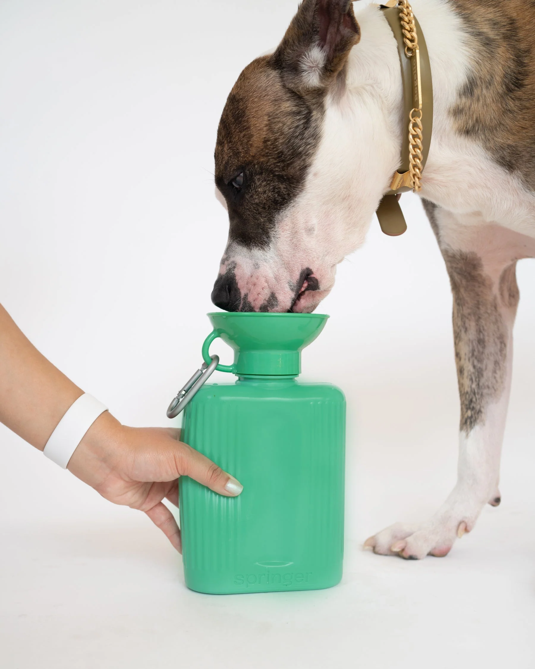 Growler Dog Travel Bottle - Image 2