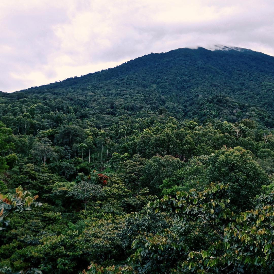 Guatemala - Slow Jam - Image 9